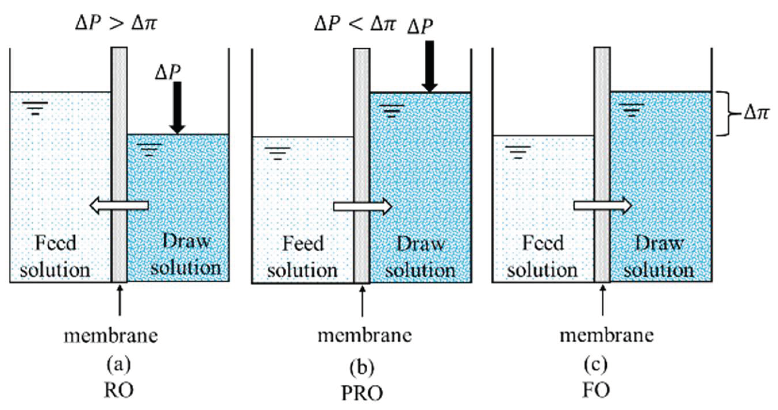 Ijerph 19 08215 g001 550
