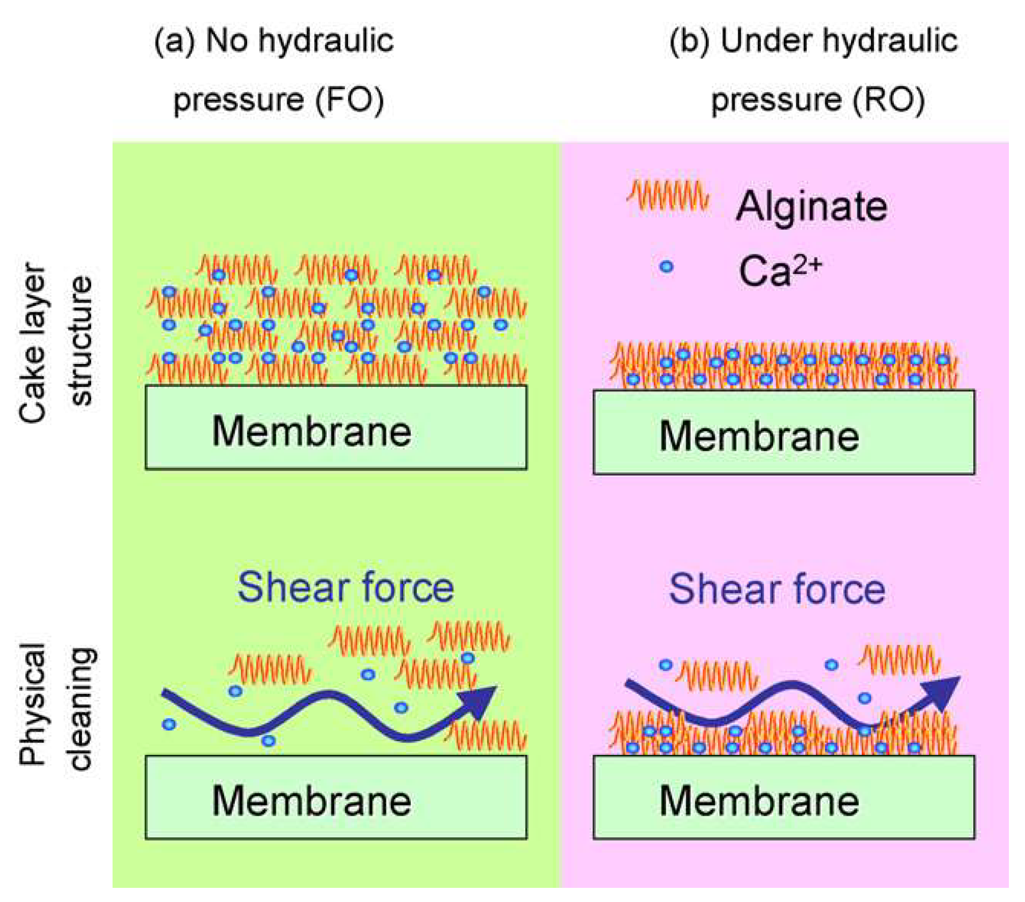 Ijerph 19 08215 g004 550
