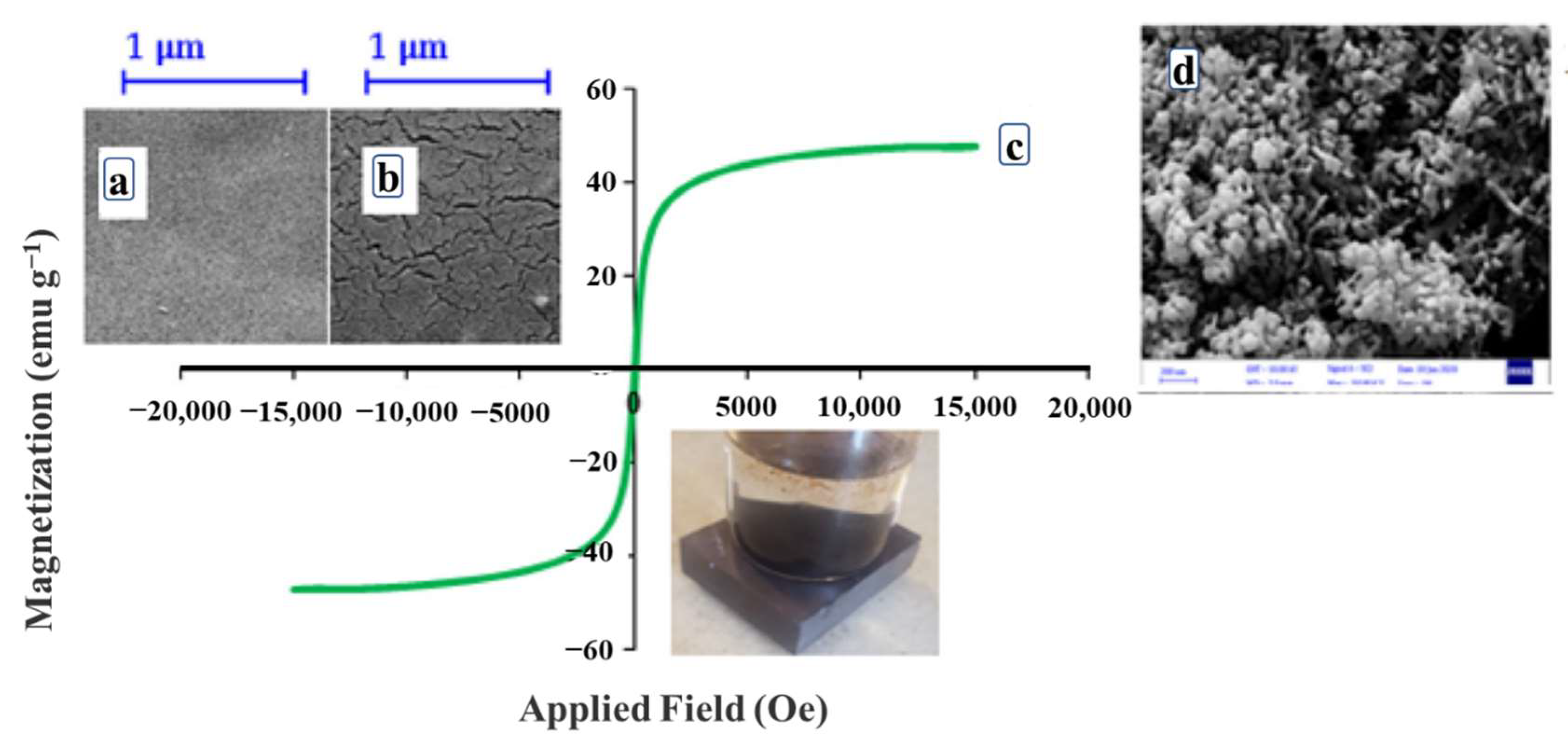 Ijerph 19 08215 g011 550