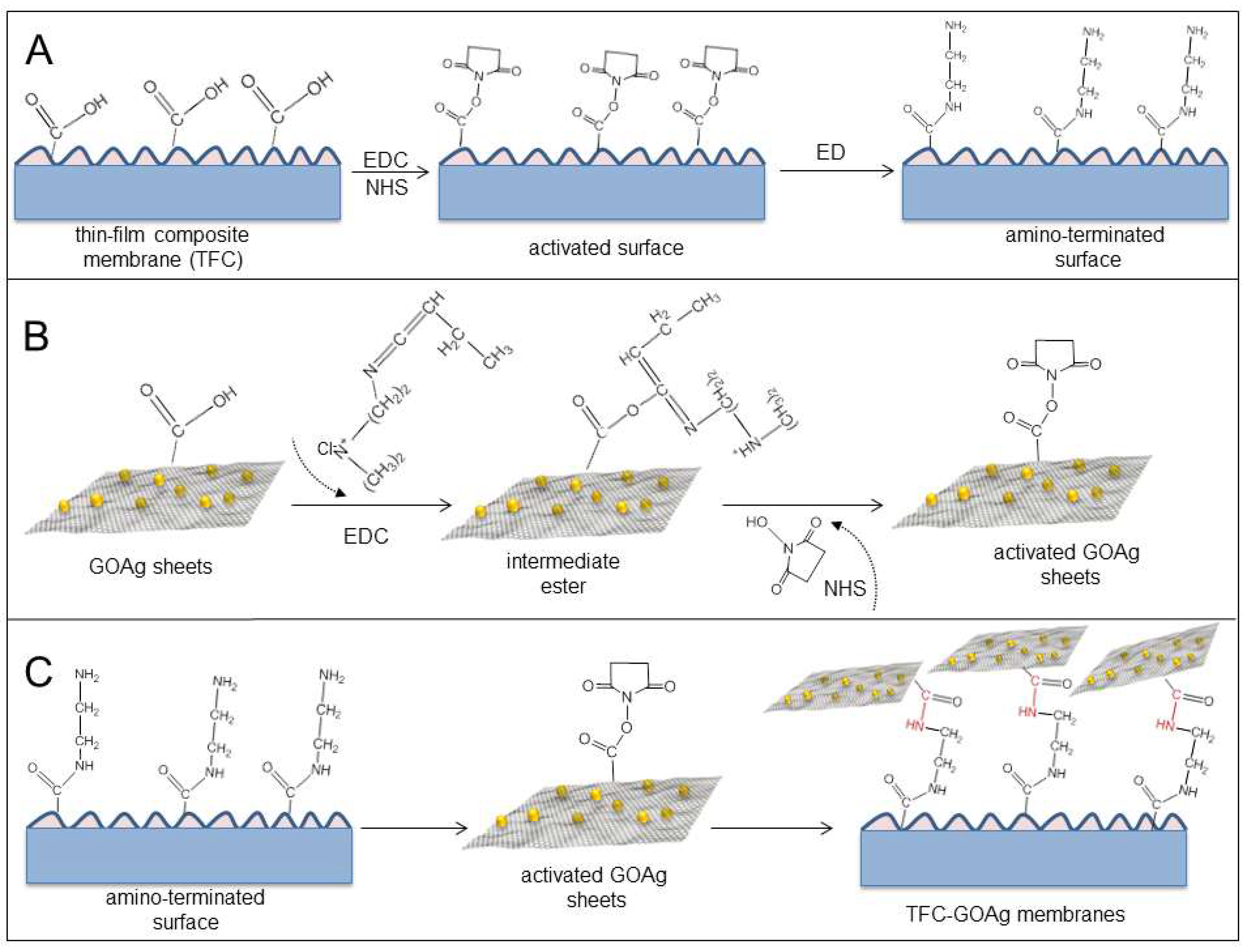 Ijerph 19 08215 g017 550