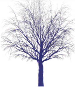 Ijerph 19 08220 i001