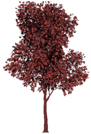 Ijerph 19 08220 i005