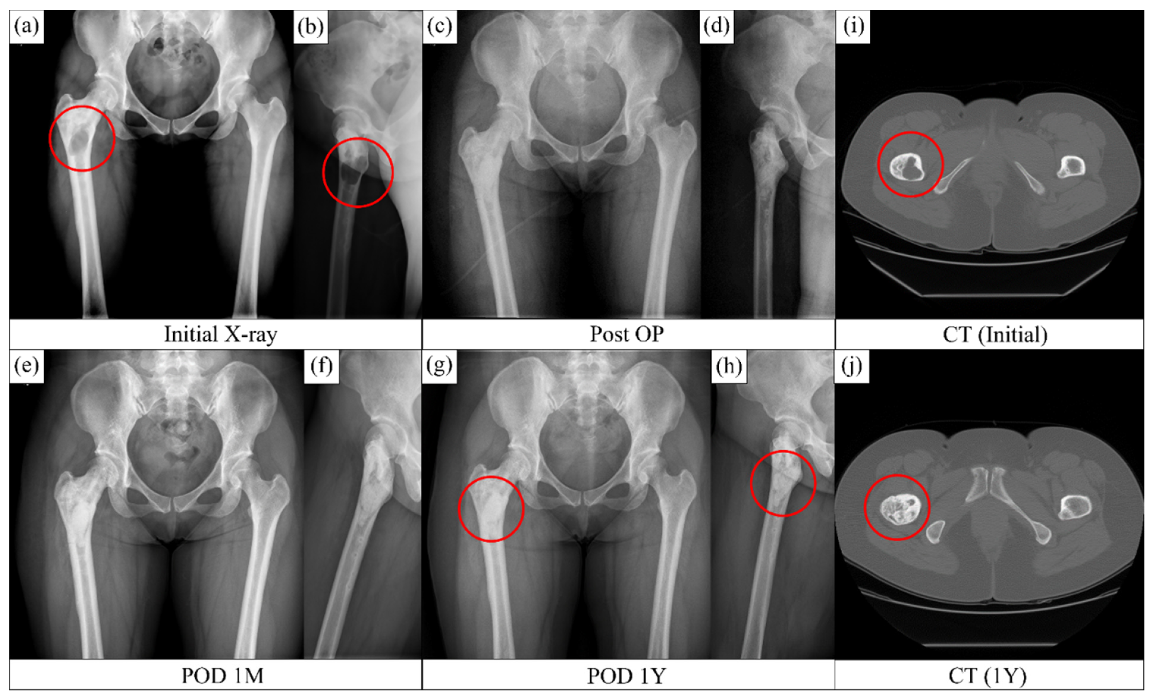 Ijerph 19 08228 g004 550
