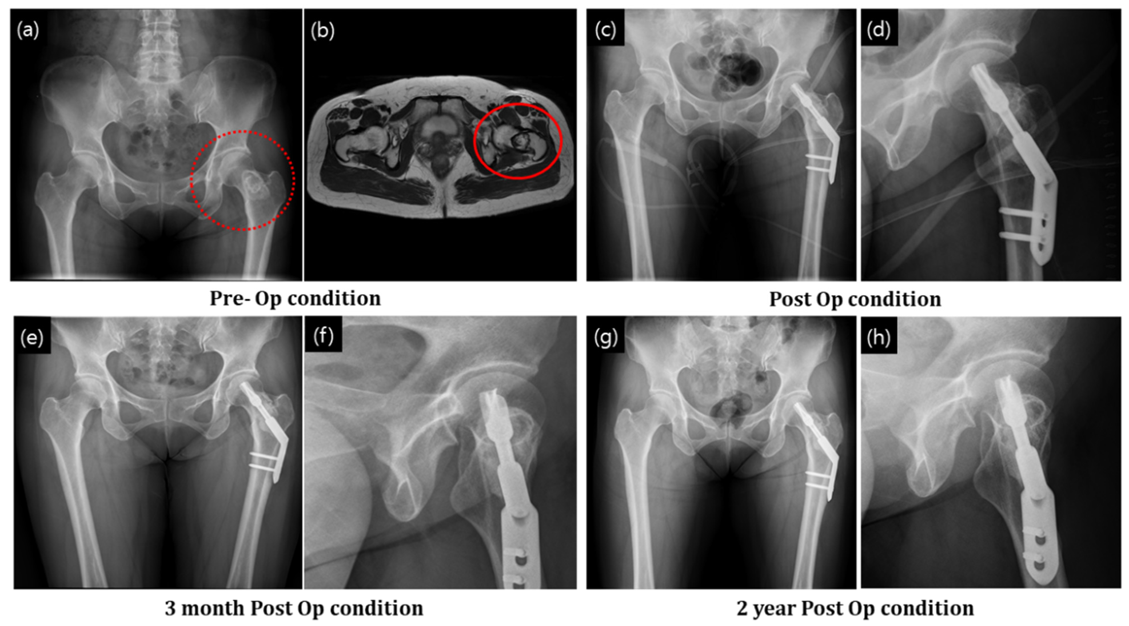 Ijerph 19 08228 g005 550