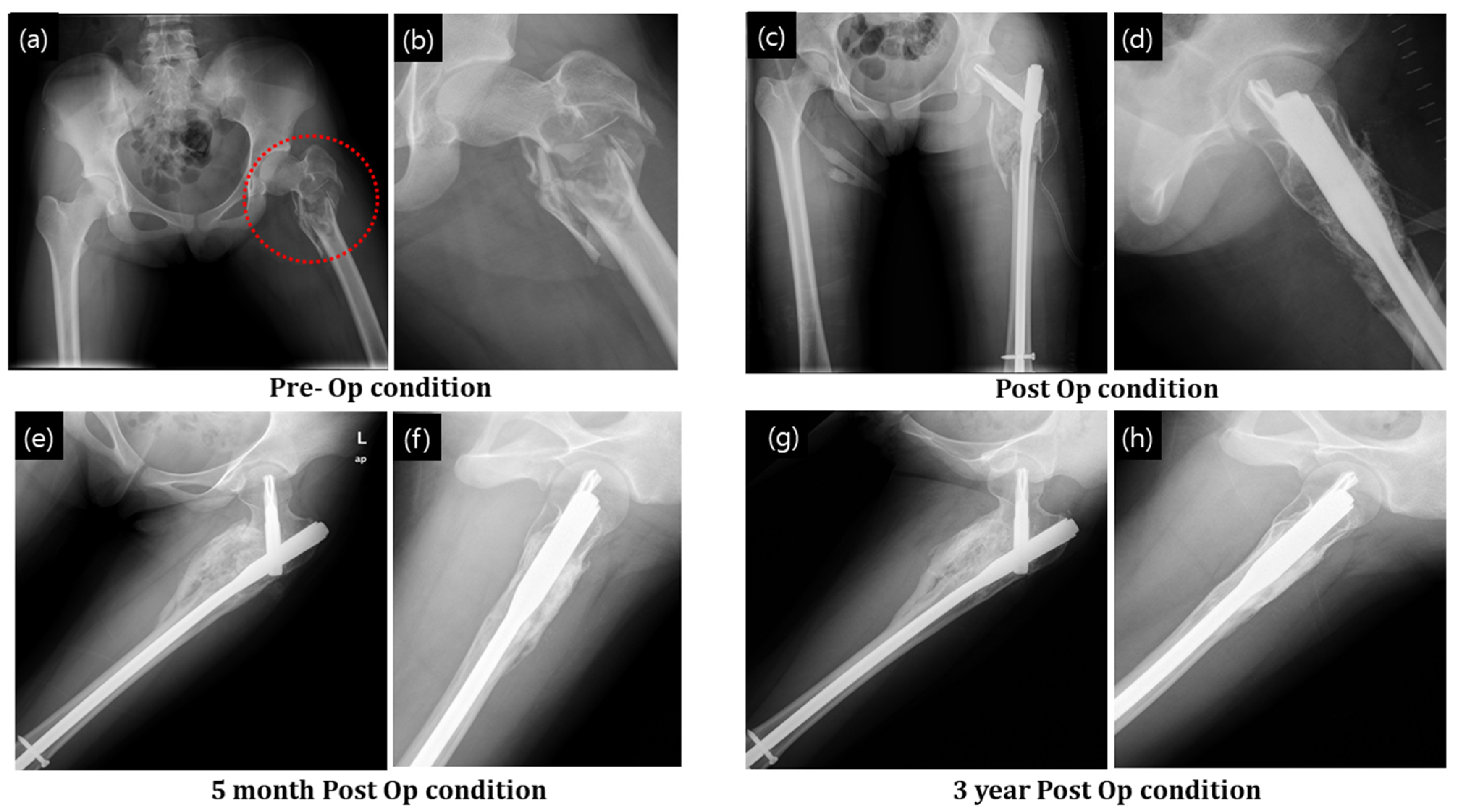 Ijerph 19 08228 g007 550