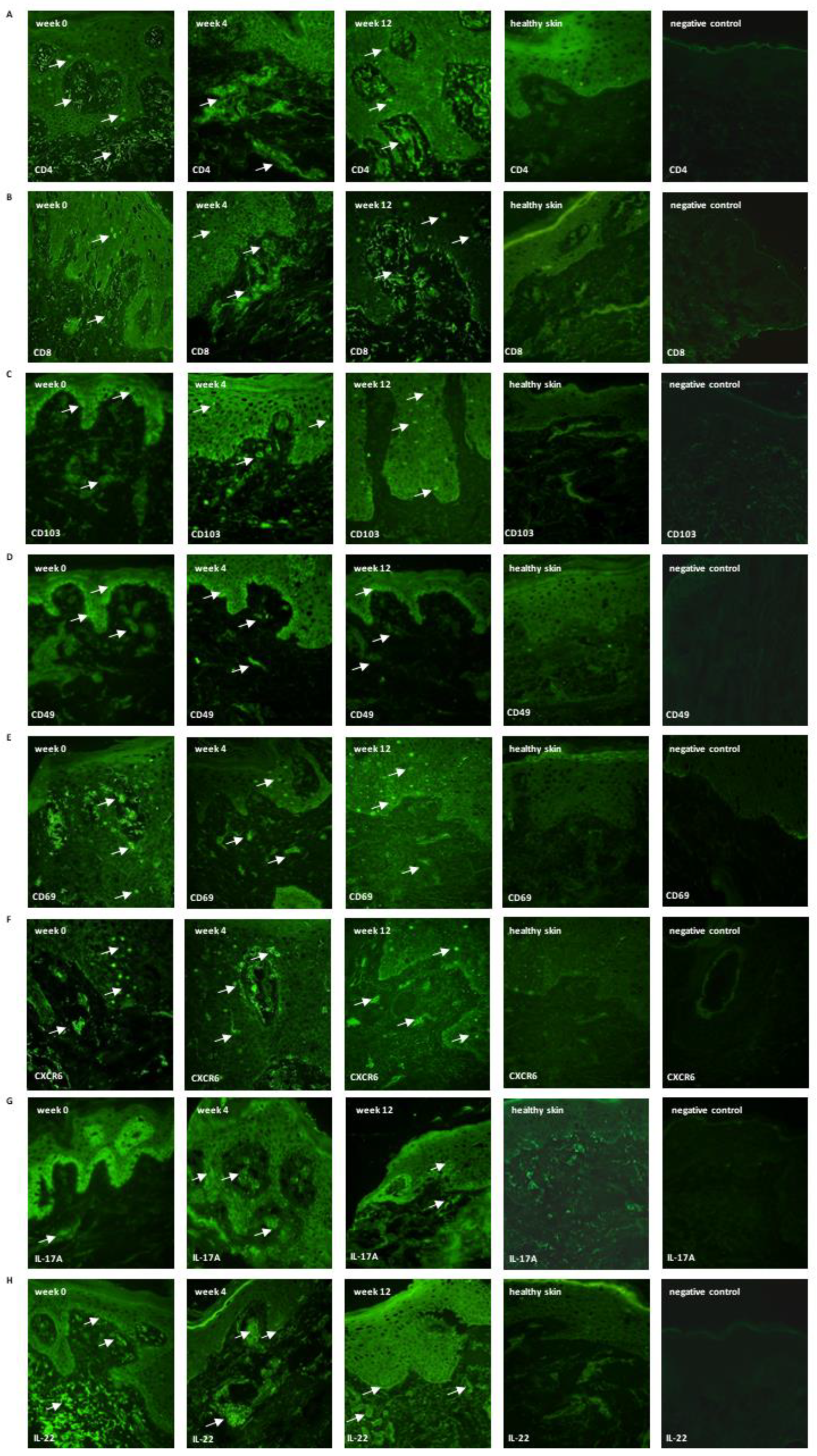 Ijerph 19 08345 g002