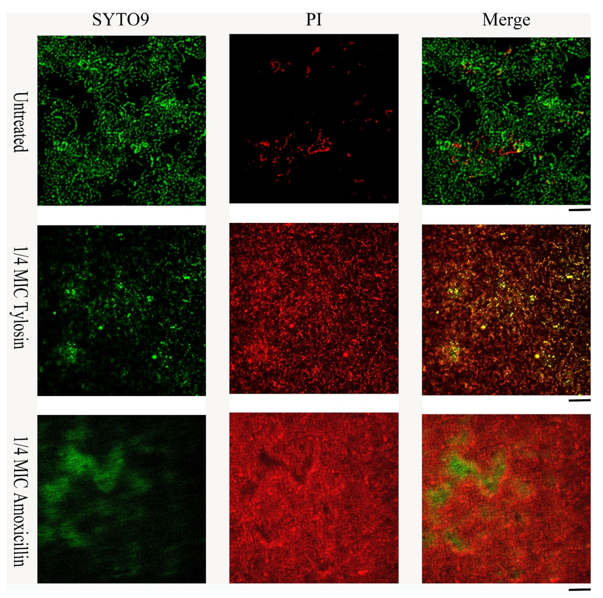 Ijerph 19 08359 g003 550