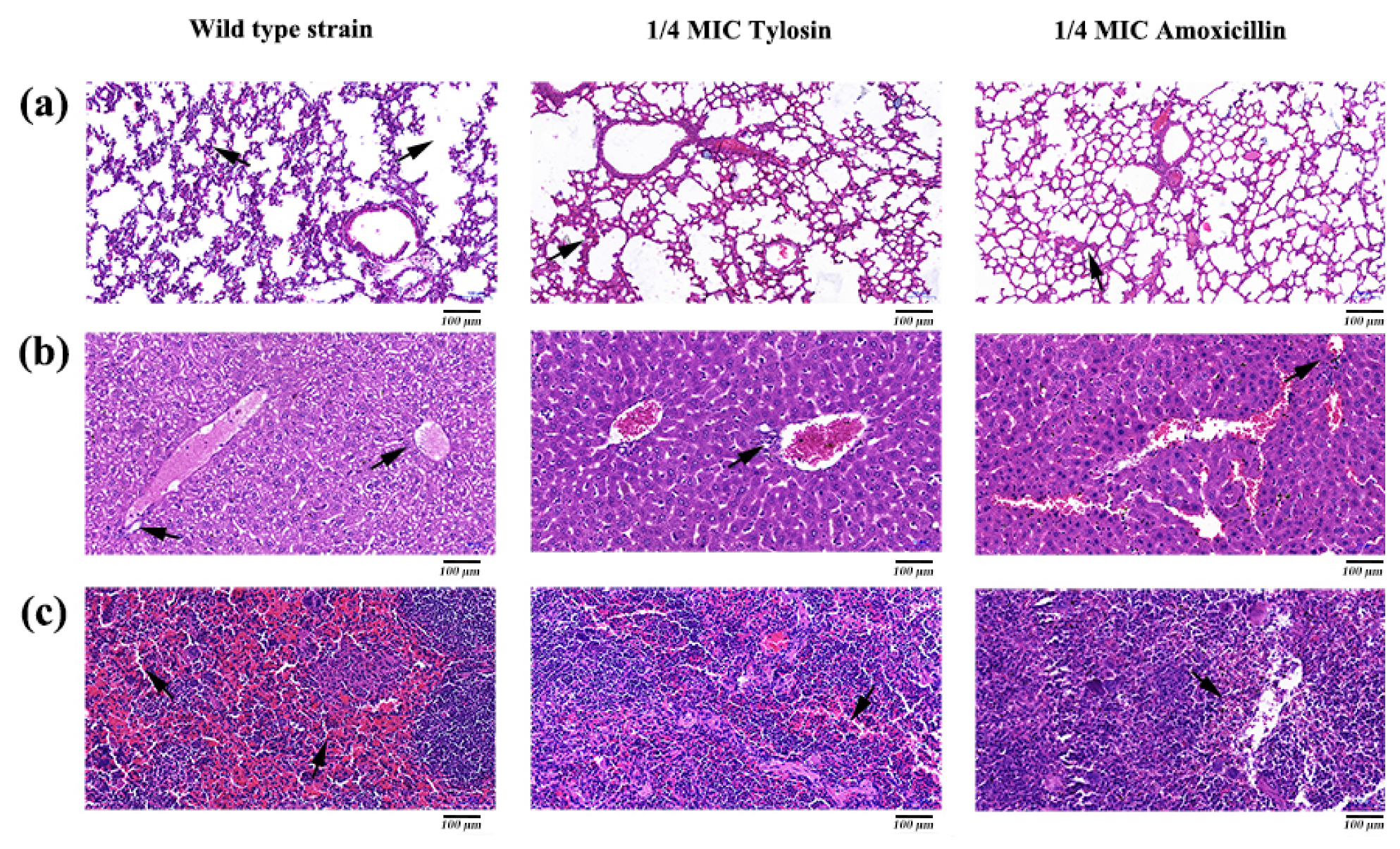 Ijerph 19 08359 g005 550