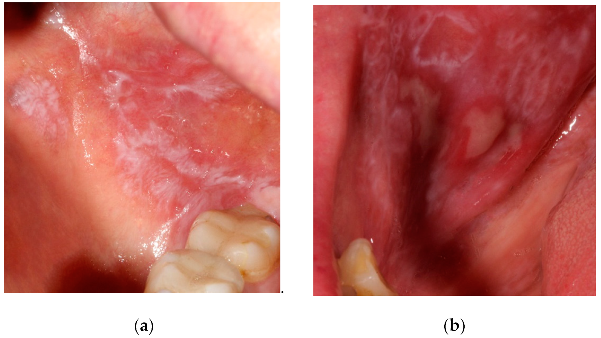 Ijerph 19 08397 g001 550