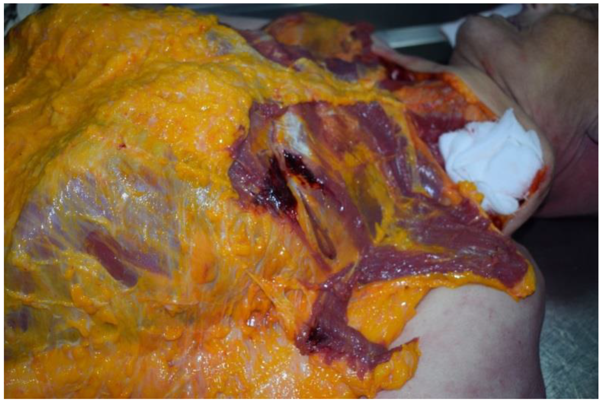 Ijerph 19 08432 g006 550