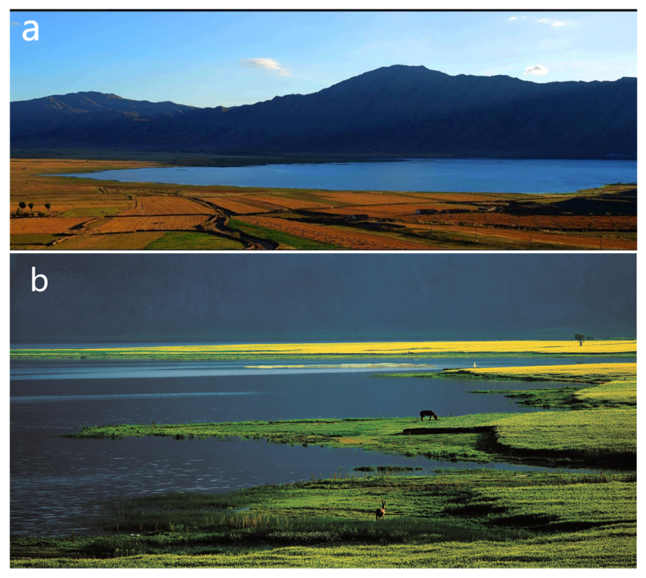 Ijerph 19 08498 g002a