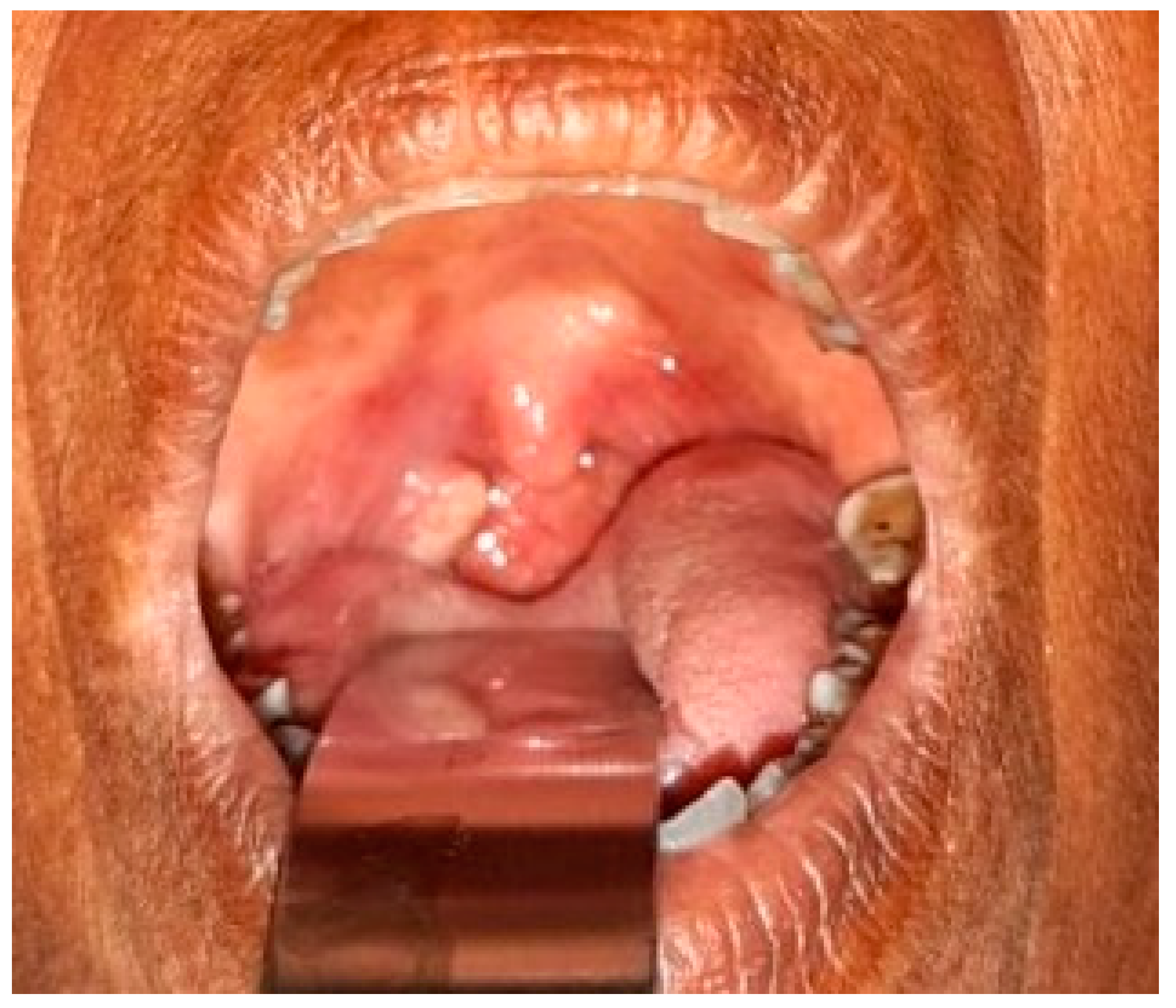 Ijerph 19 08510 g0a2 550