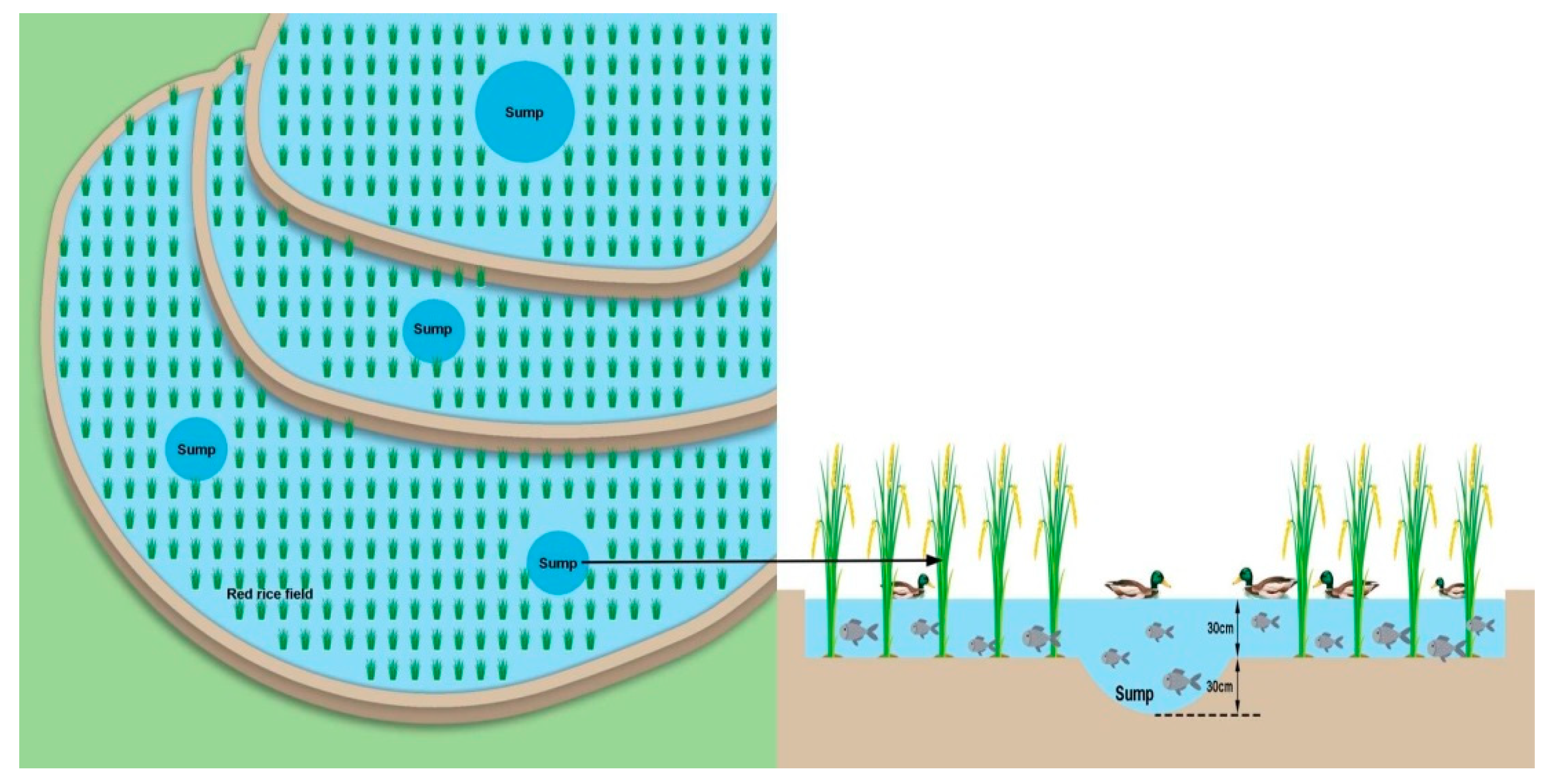 Ijerph 19 08549 g003