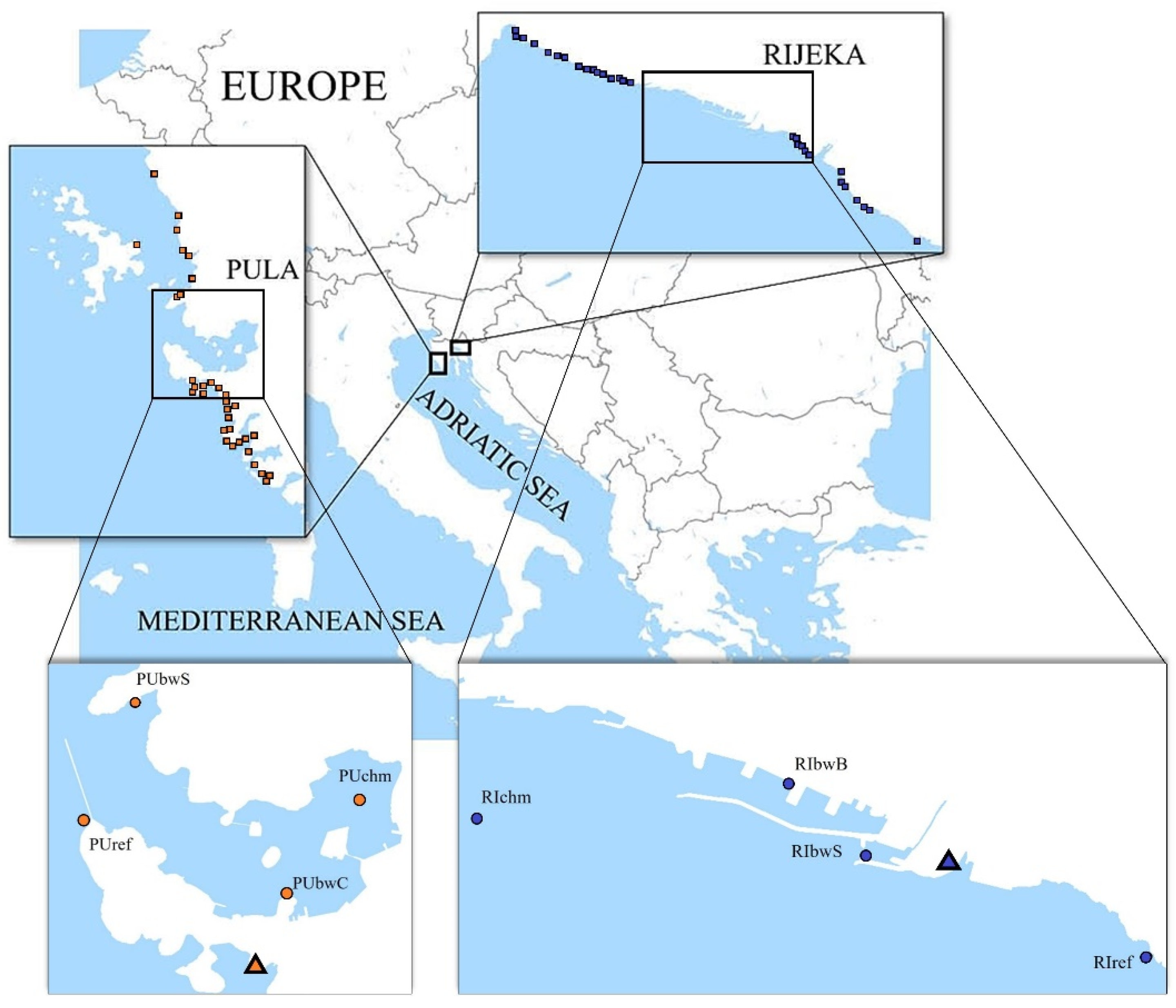 Ijerph 19 08552 g001 550