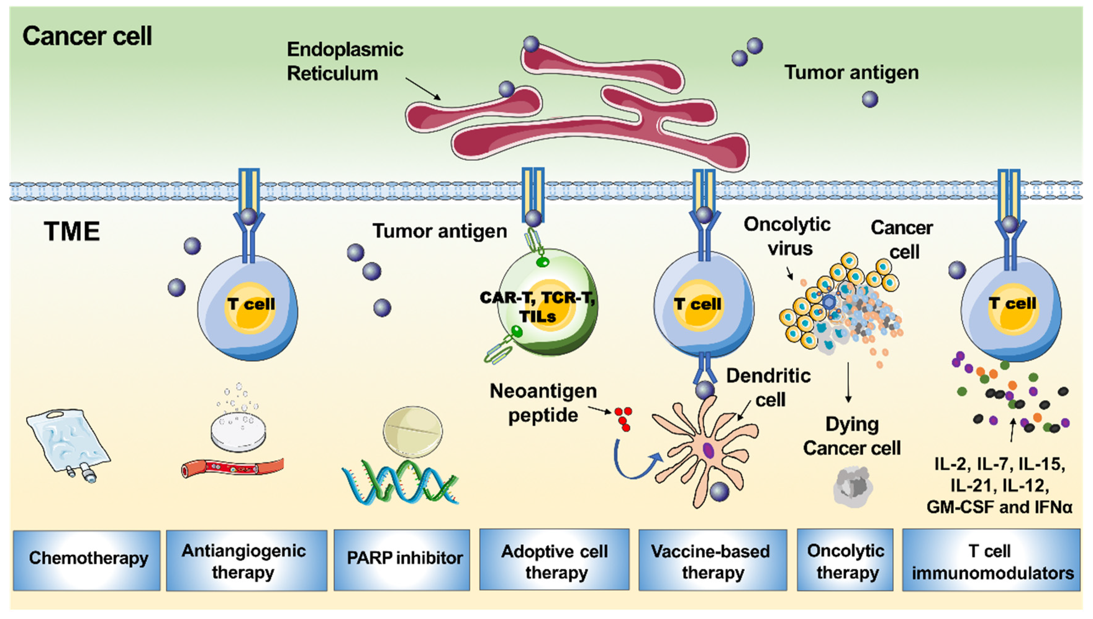Ijerph 19 08577 g002 Ijerph 19 08577 g002