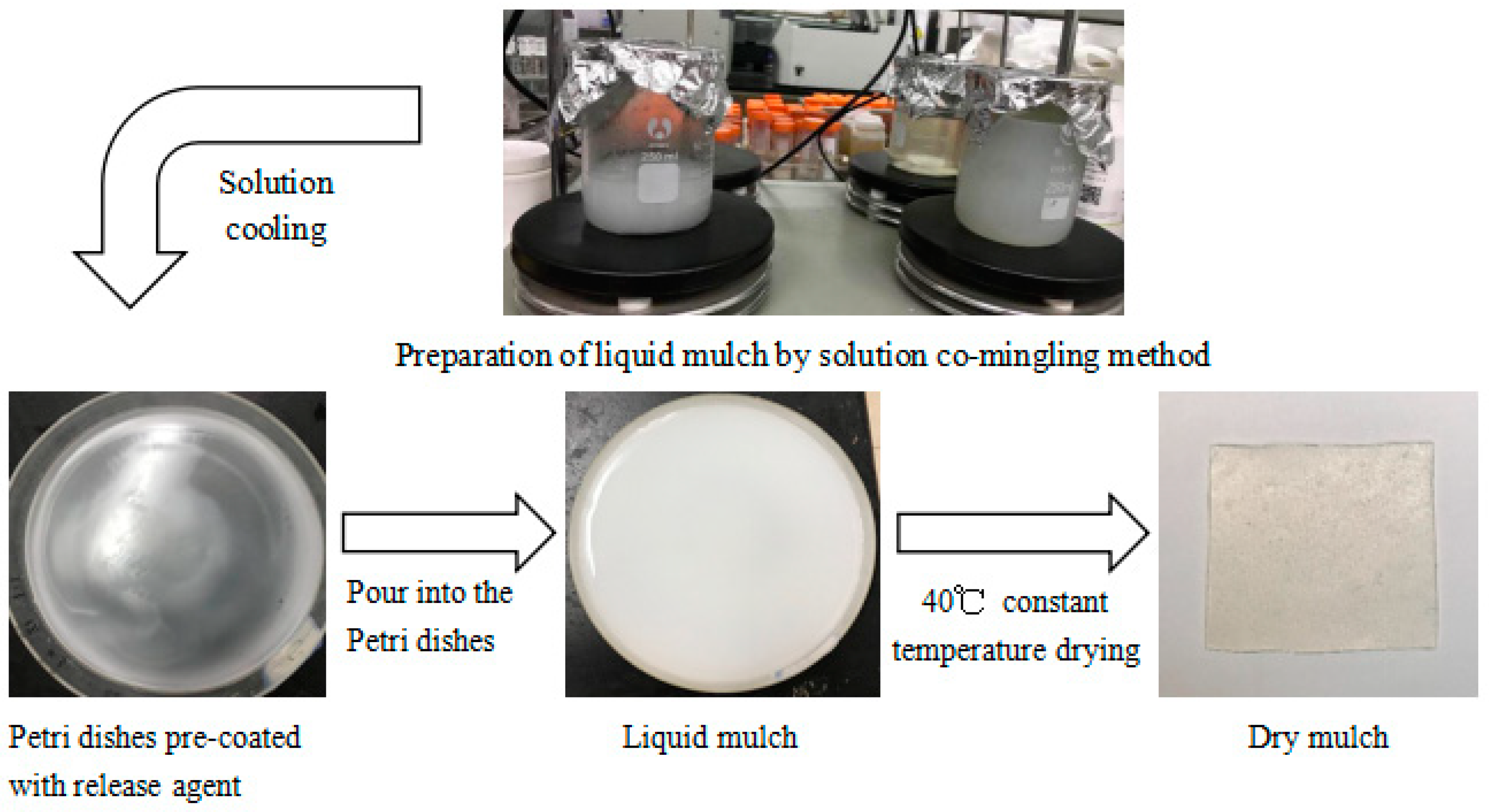 Ijerph 19 08631 g001 550