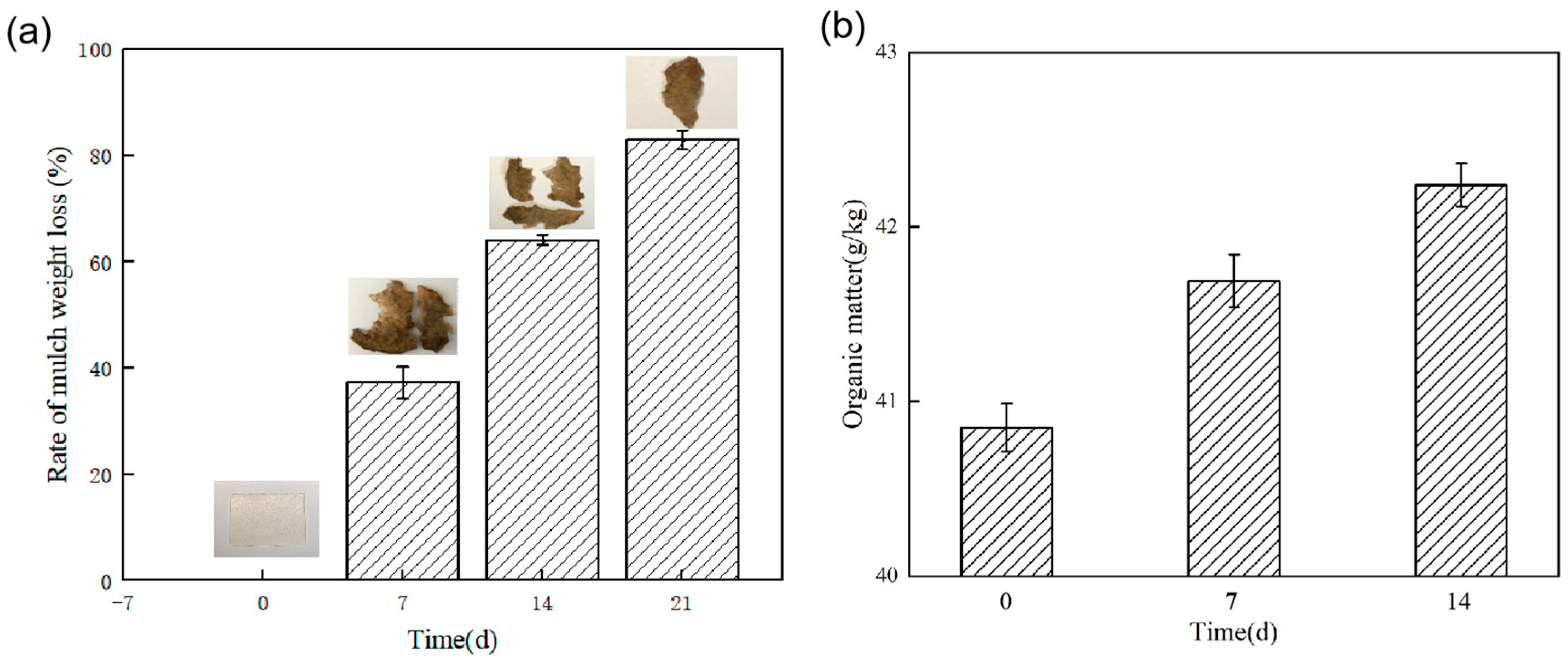 Ijerph 19 08631 g004 550