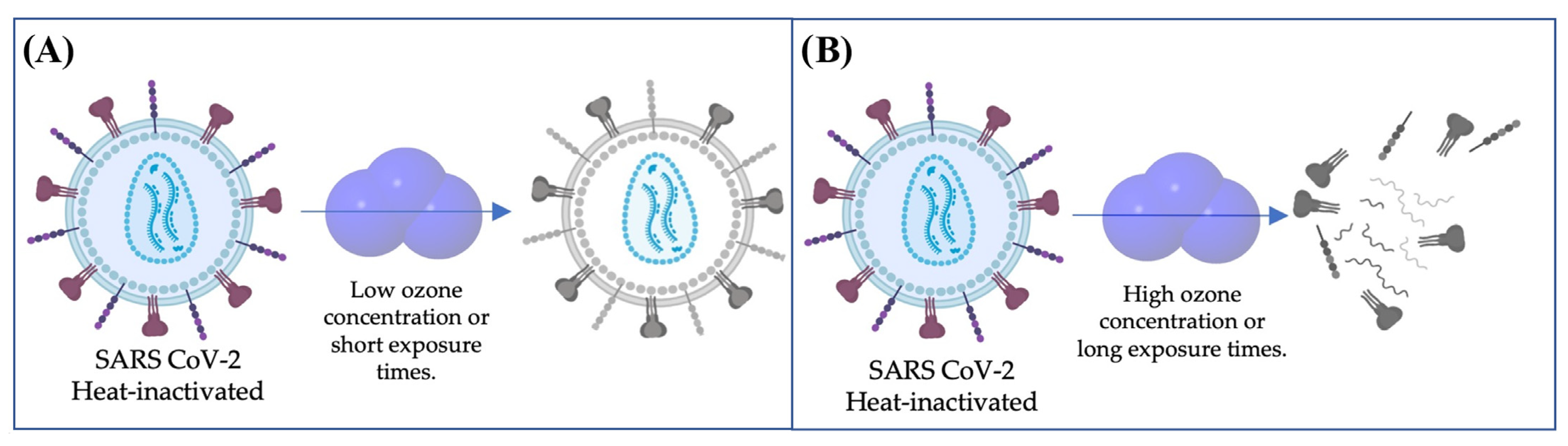 Ijerph 19 08672 g002