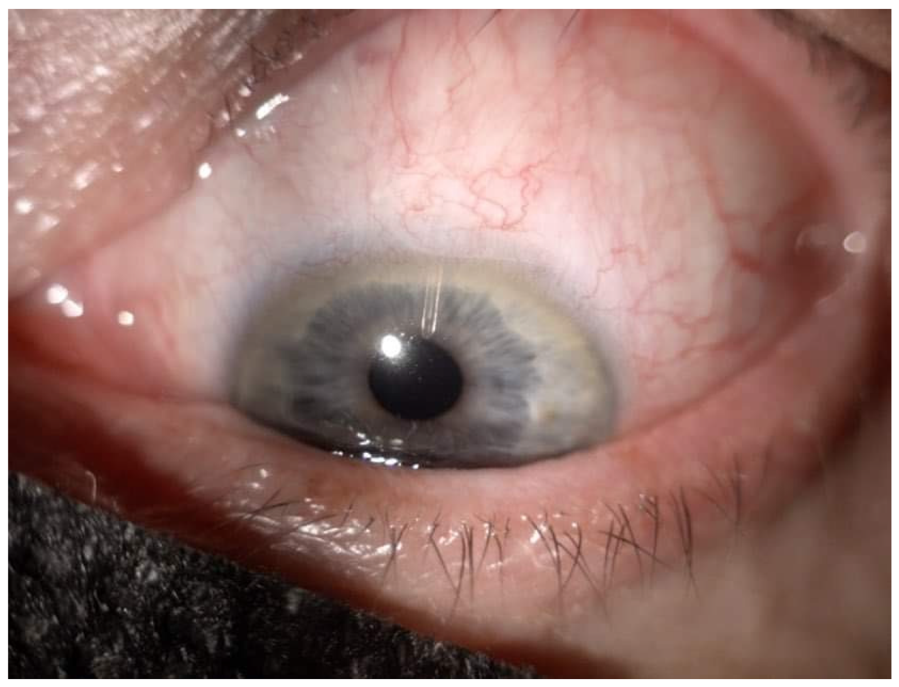 Ijerph 19 08679 g002