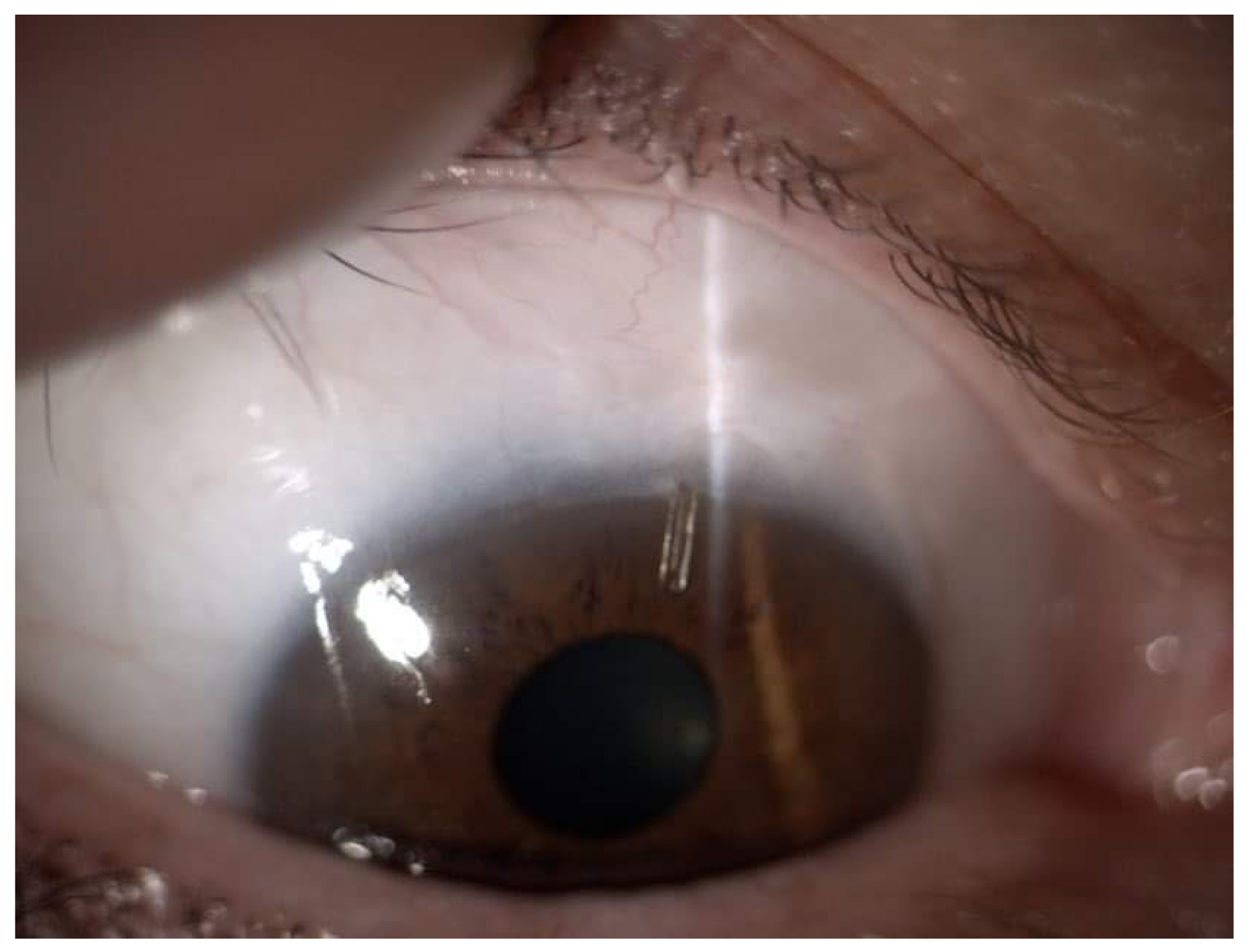 Ijerph 19 08679 g003