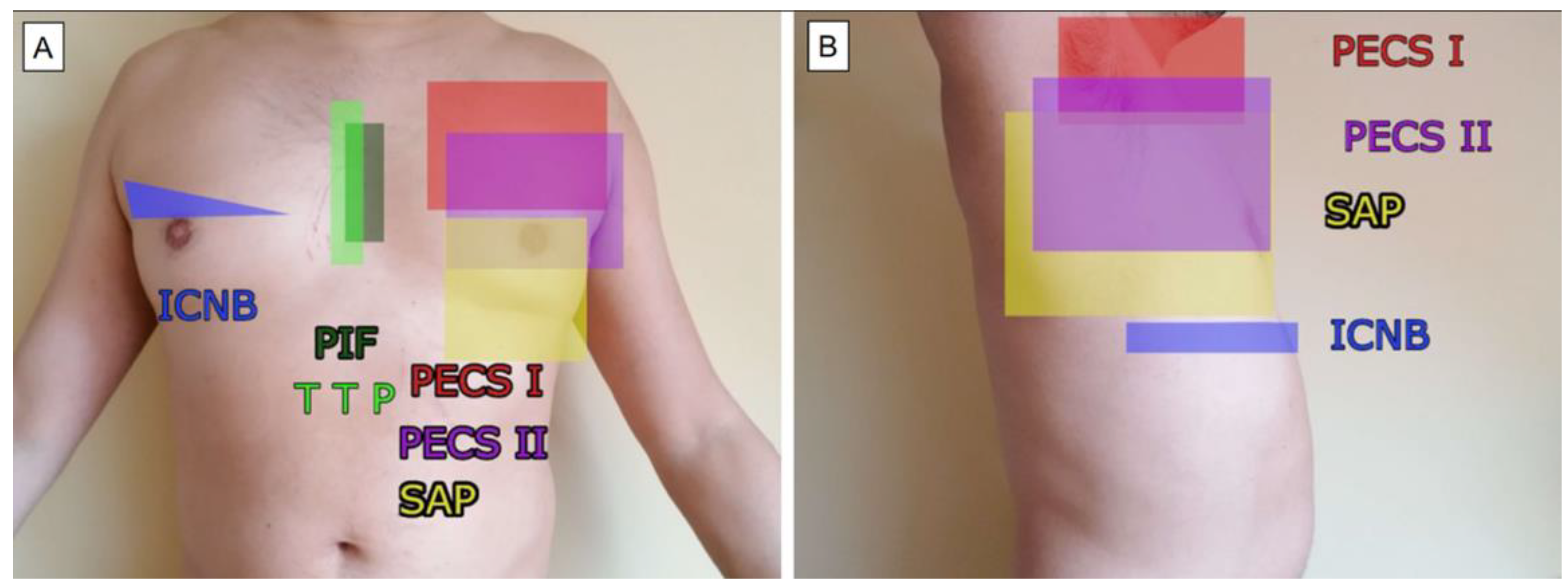 Ijerph 19 08696 g001