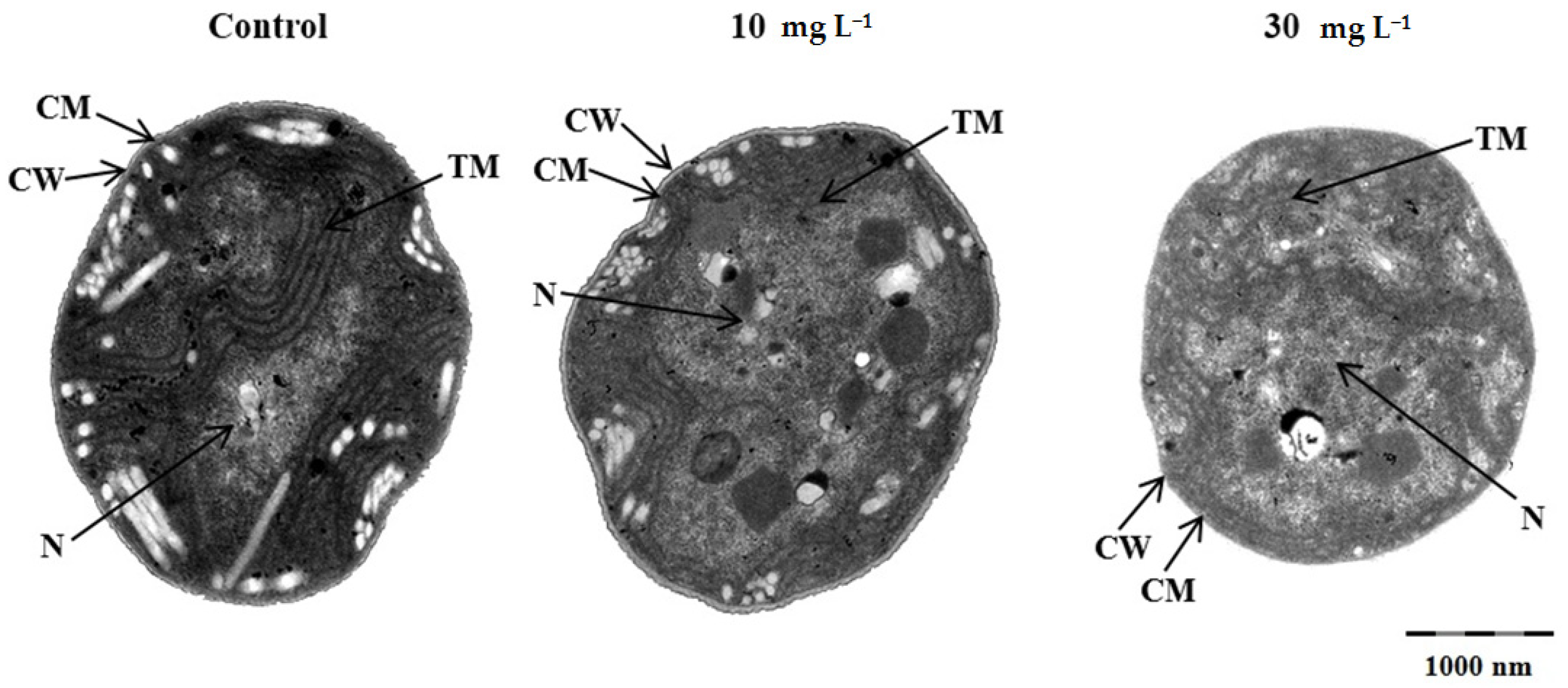 Ijerph 19 08719 g004