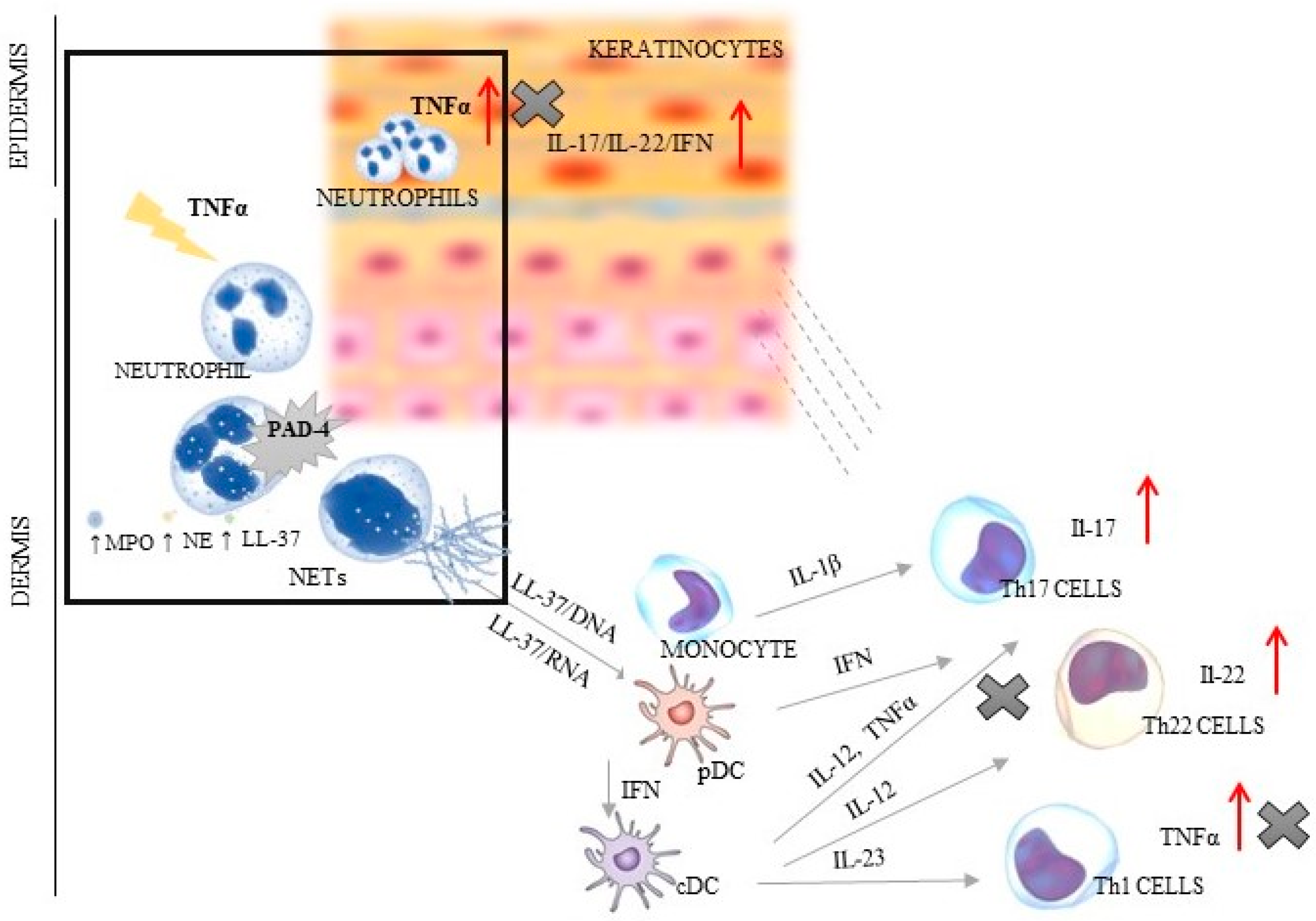 Ijerph 19 08723 g001 550