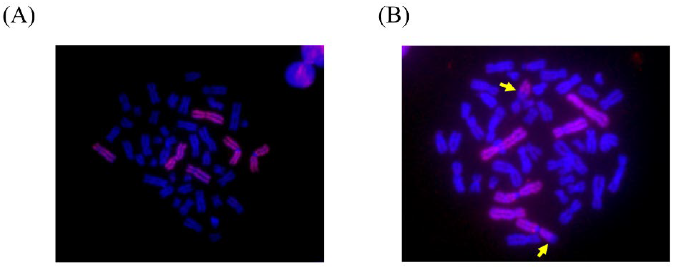 Ijerph 19 08737 g001 Ijerph 19 08737 g001