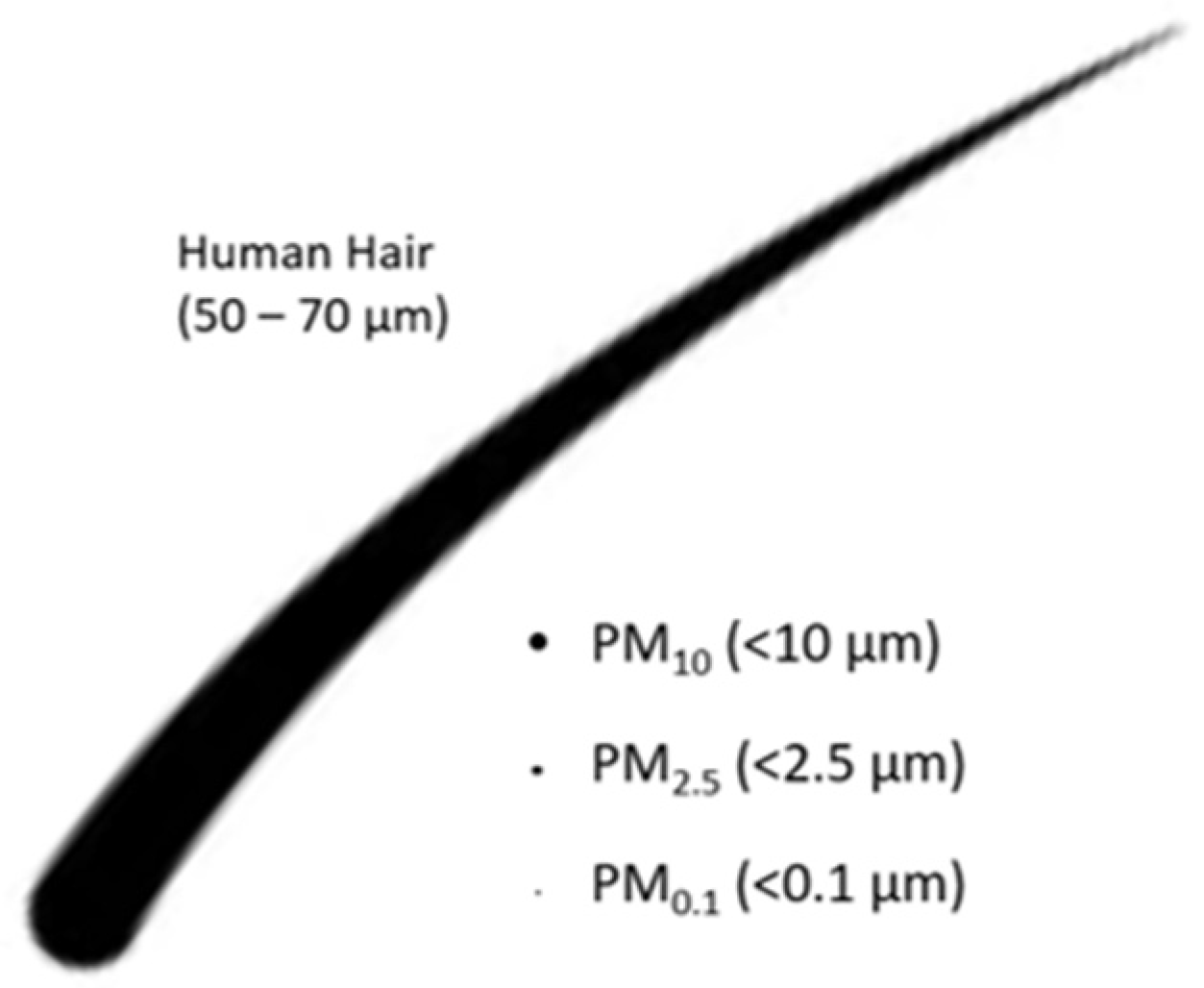 Ijerph 19 08752 g001