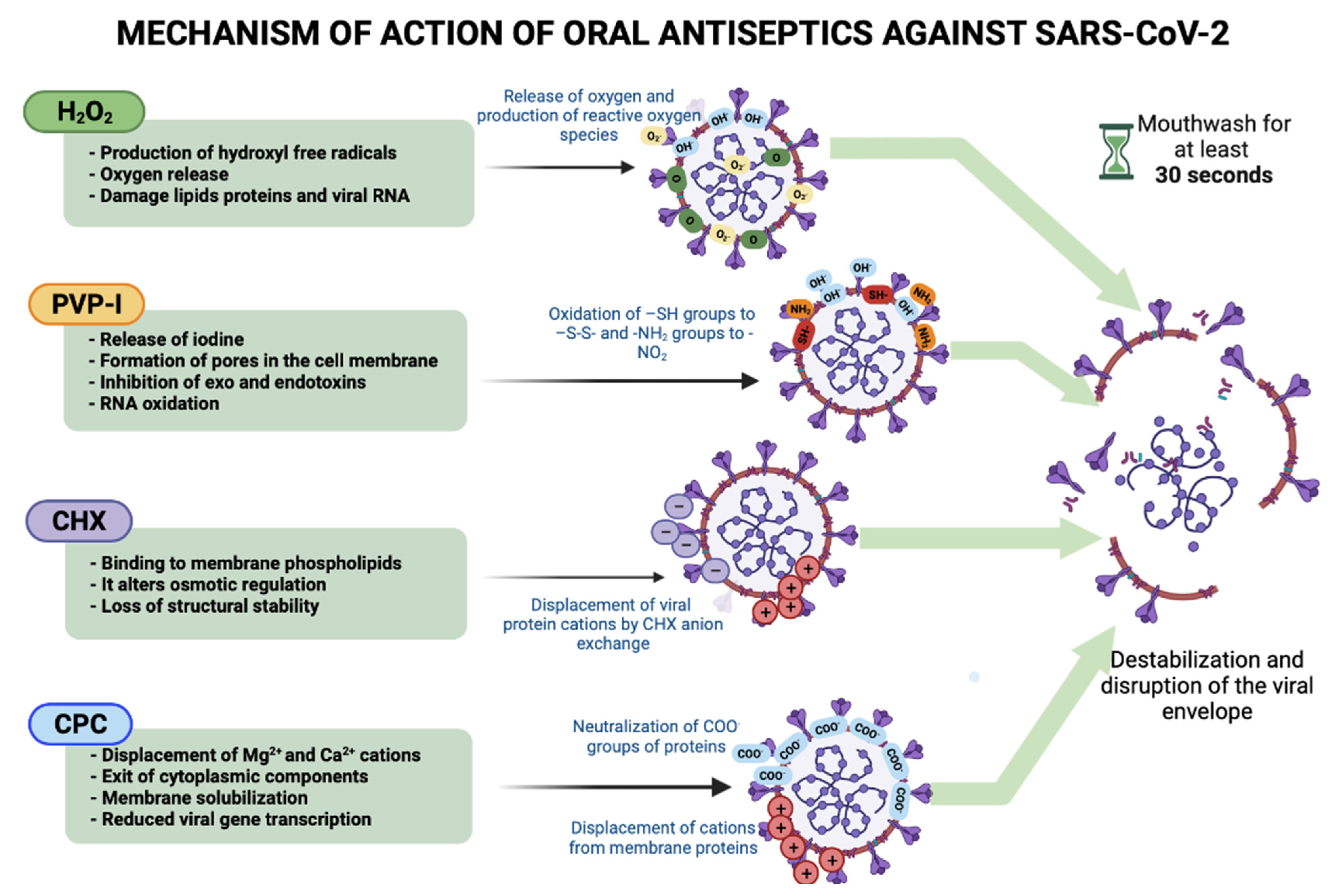 Рнк sars cov. International Journal of Environmental research and public Health.