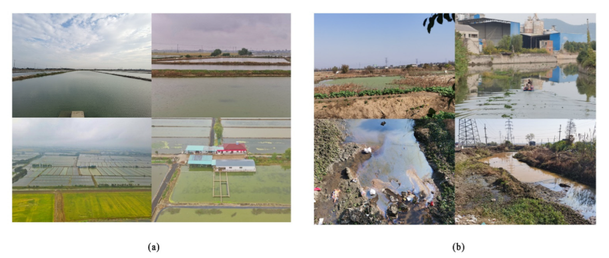 Ijerph 19 08774 g002