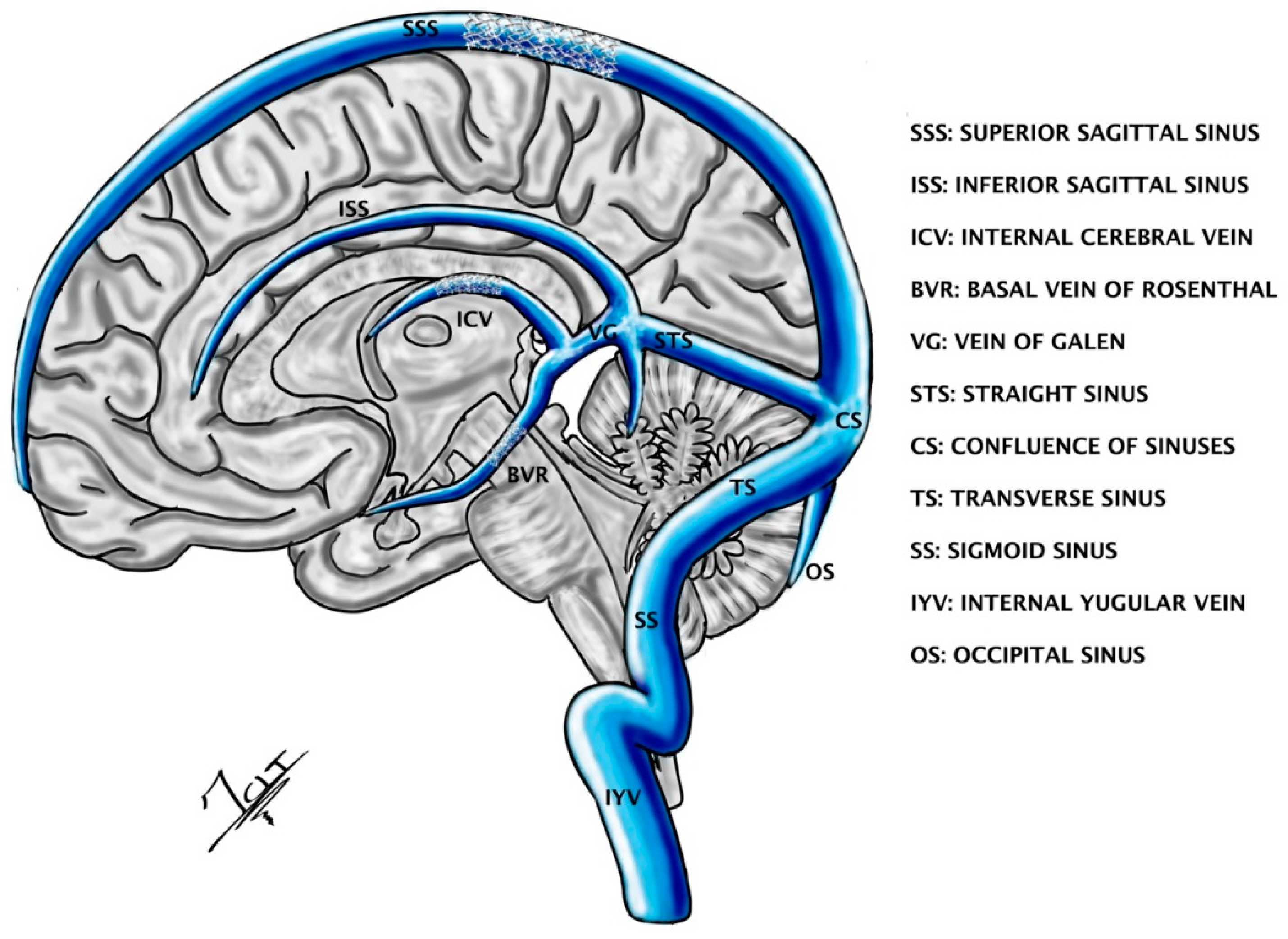 Ijerph 19 08799 g004