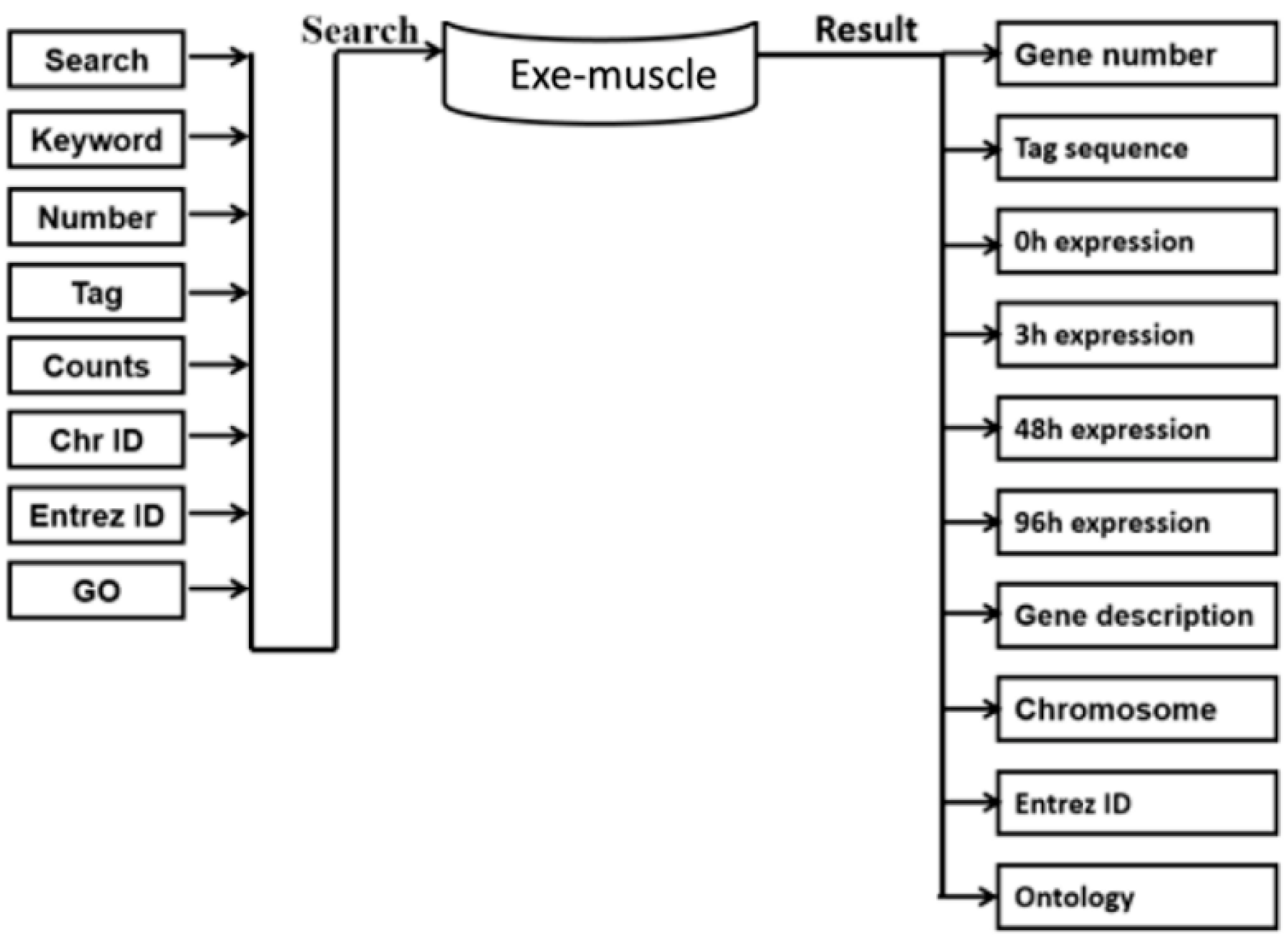 Ijerph 19 08806 g001 550