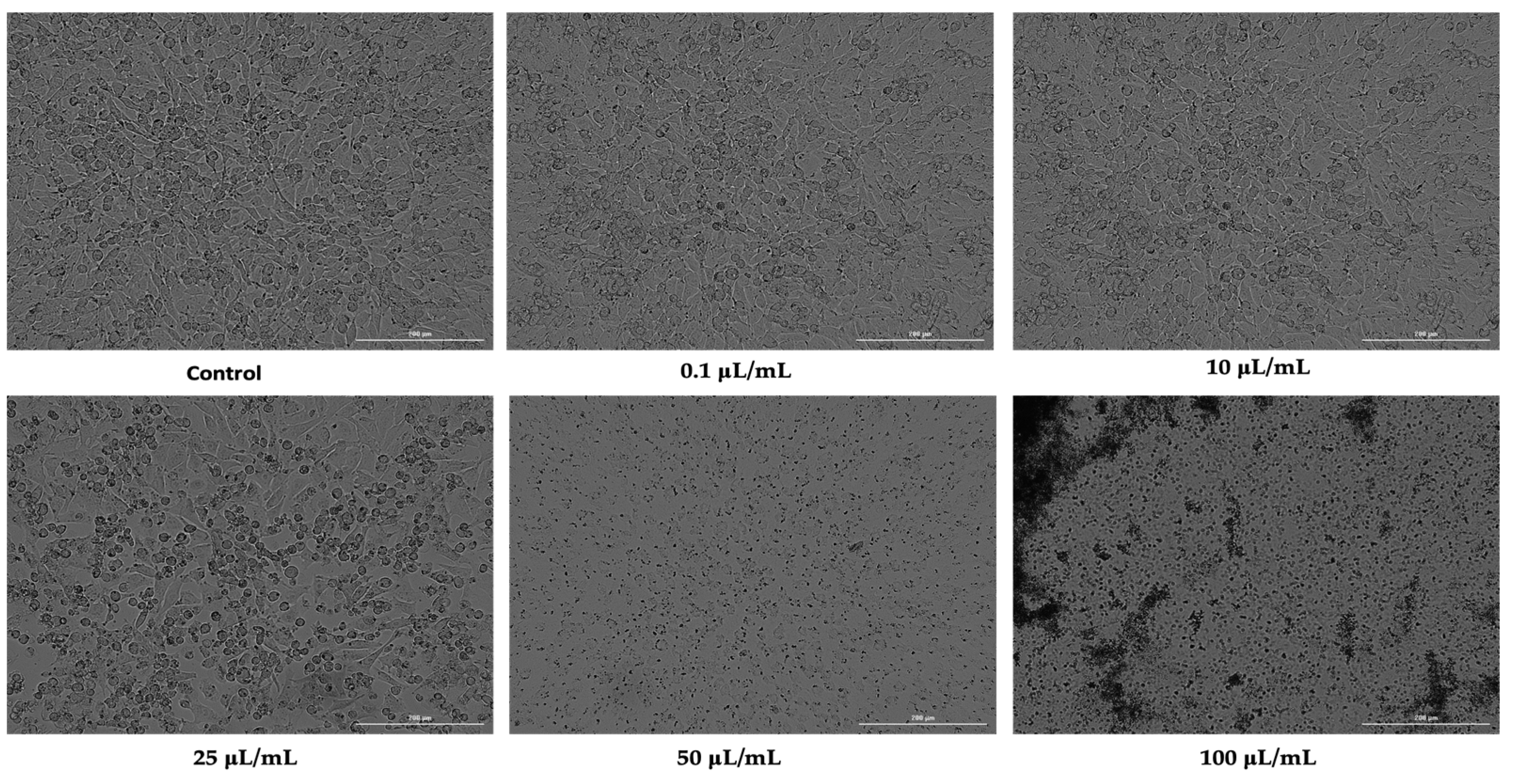 Ijerph 19 08881 g002