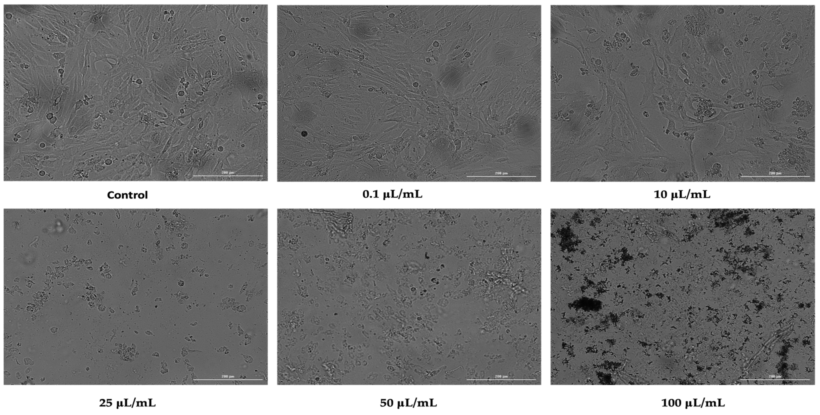 Ijerph 19 08881 g003