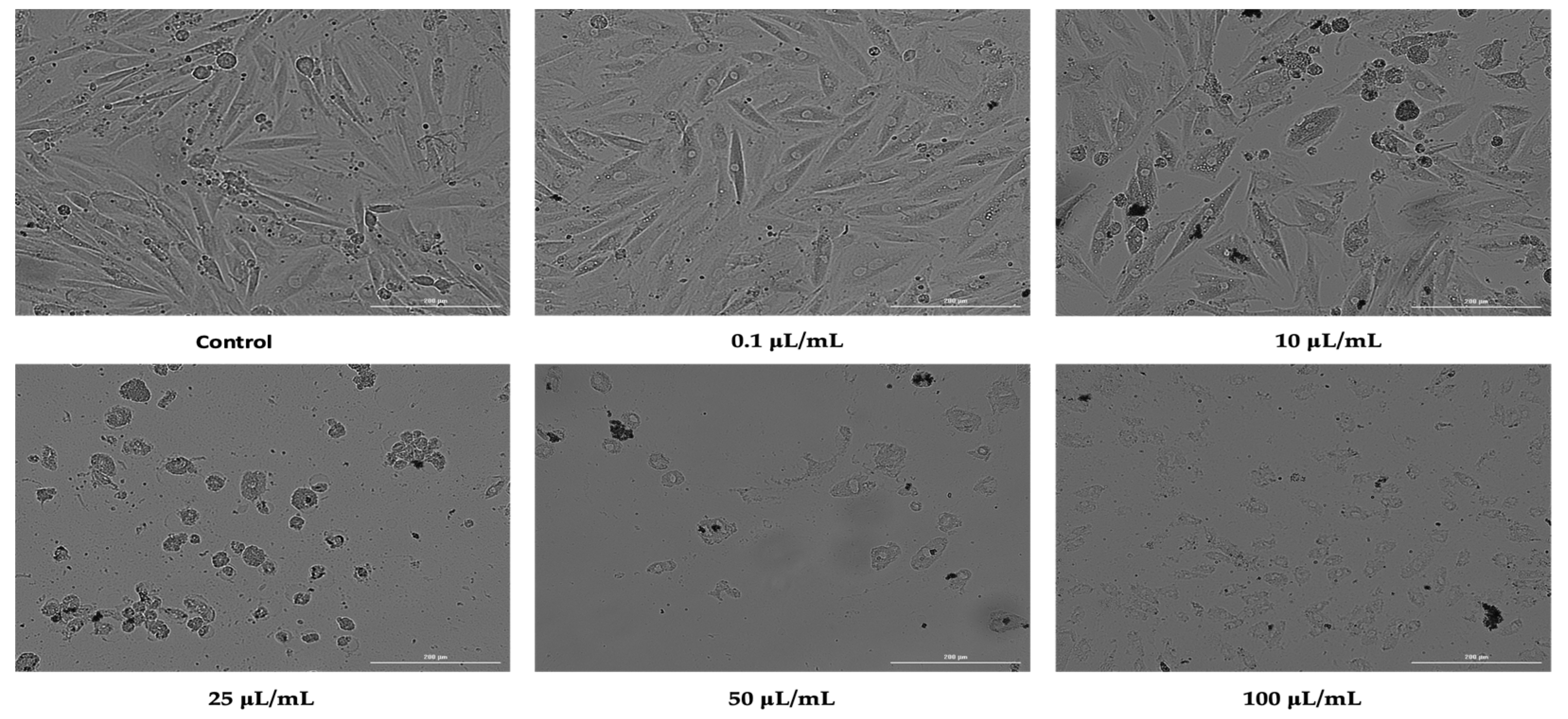 Ijerph 19 08881 g004