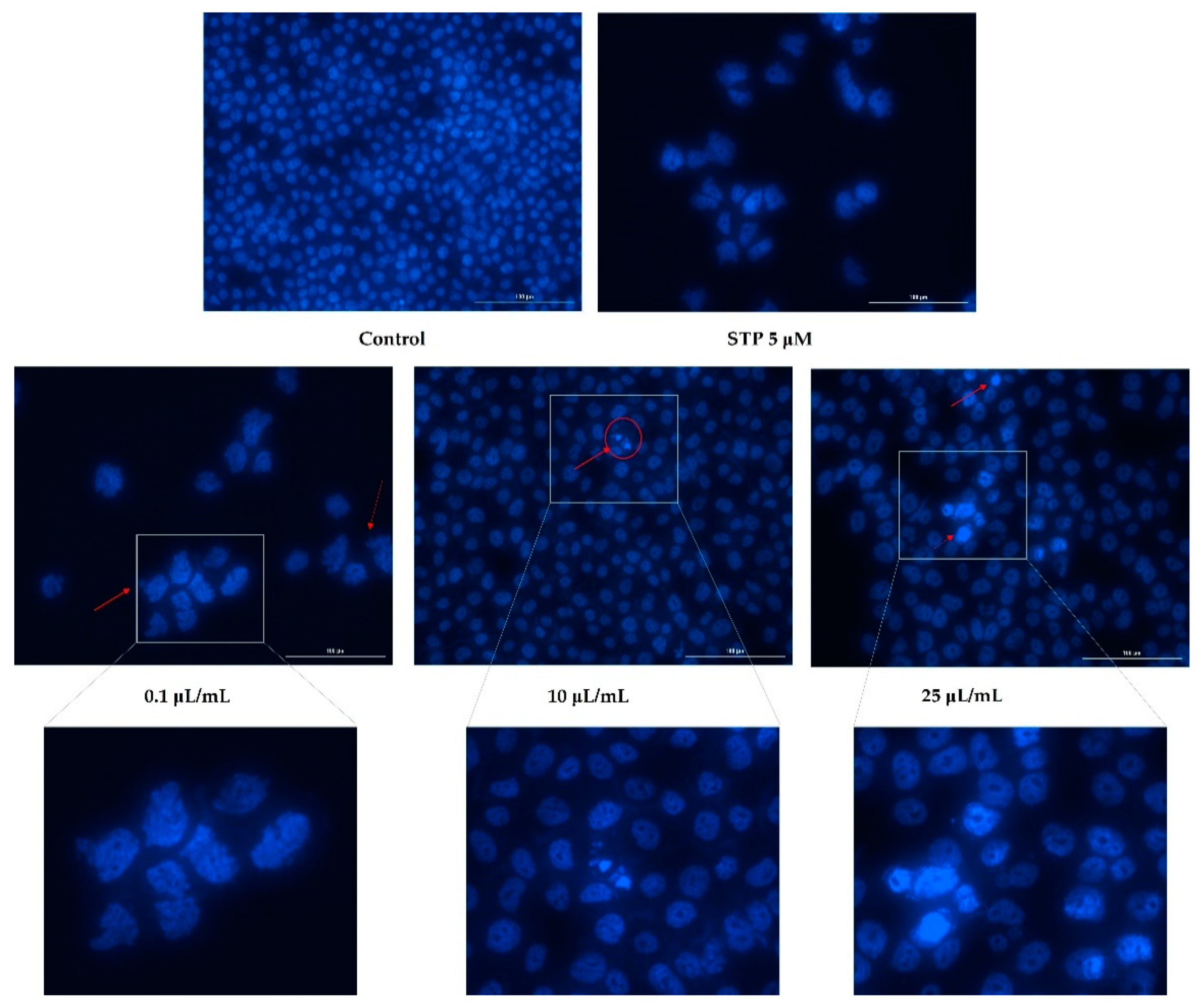 Ijerph 19 08881 g005