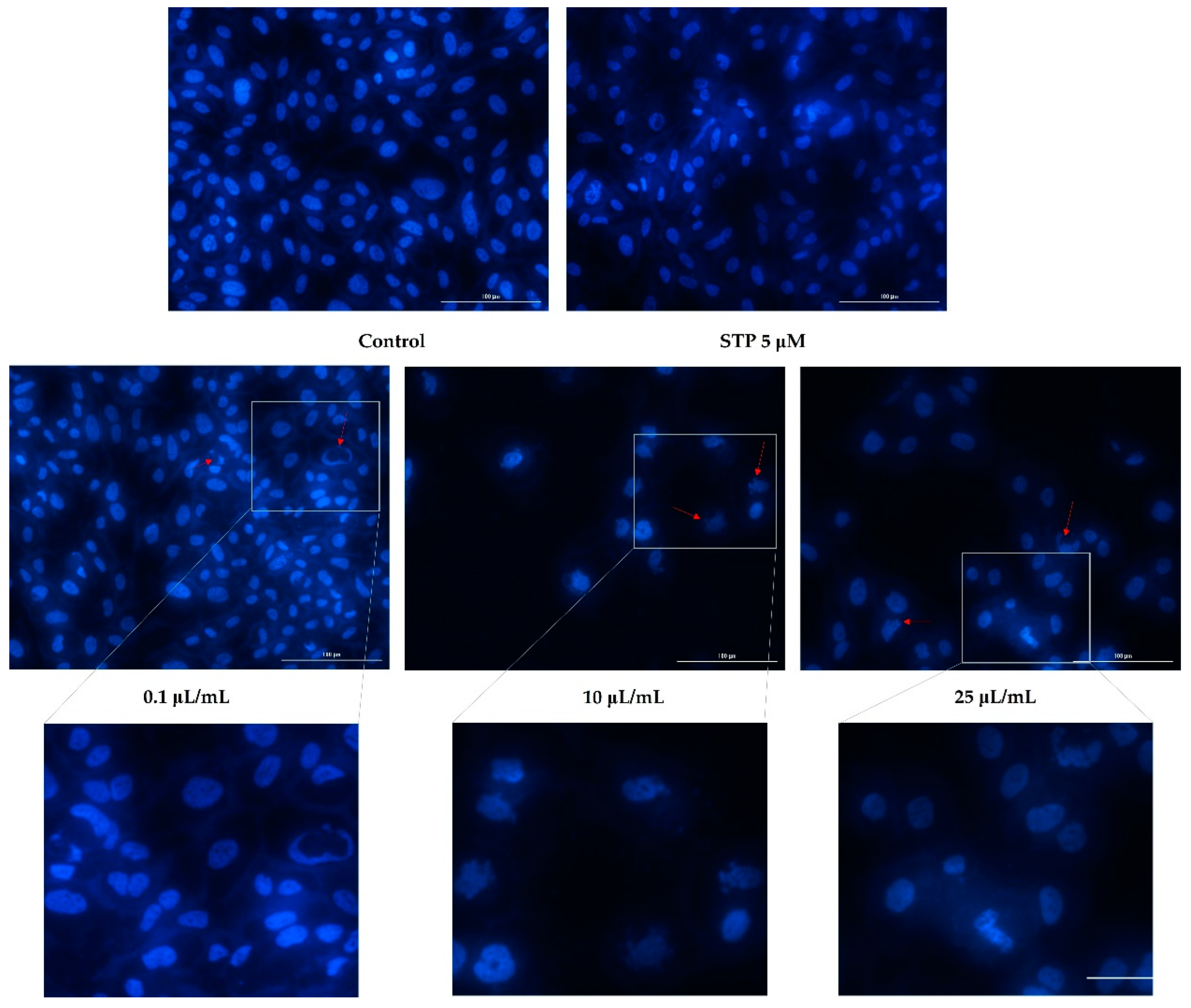 Ijerph 19 08881 g006