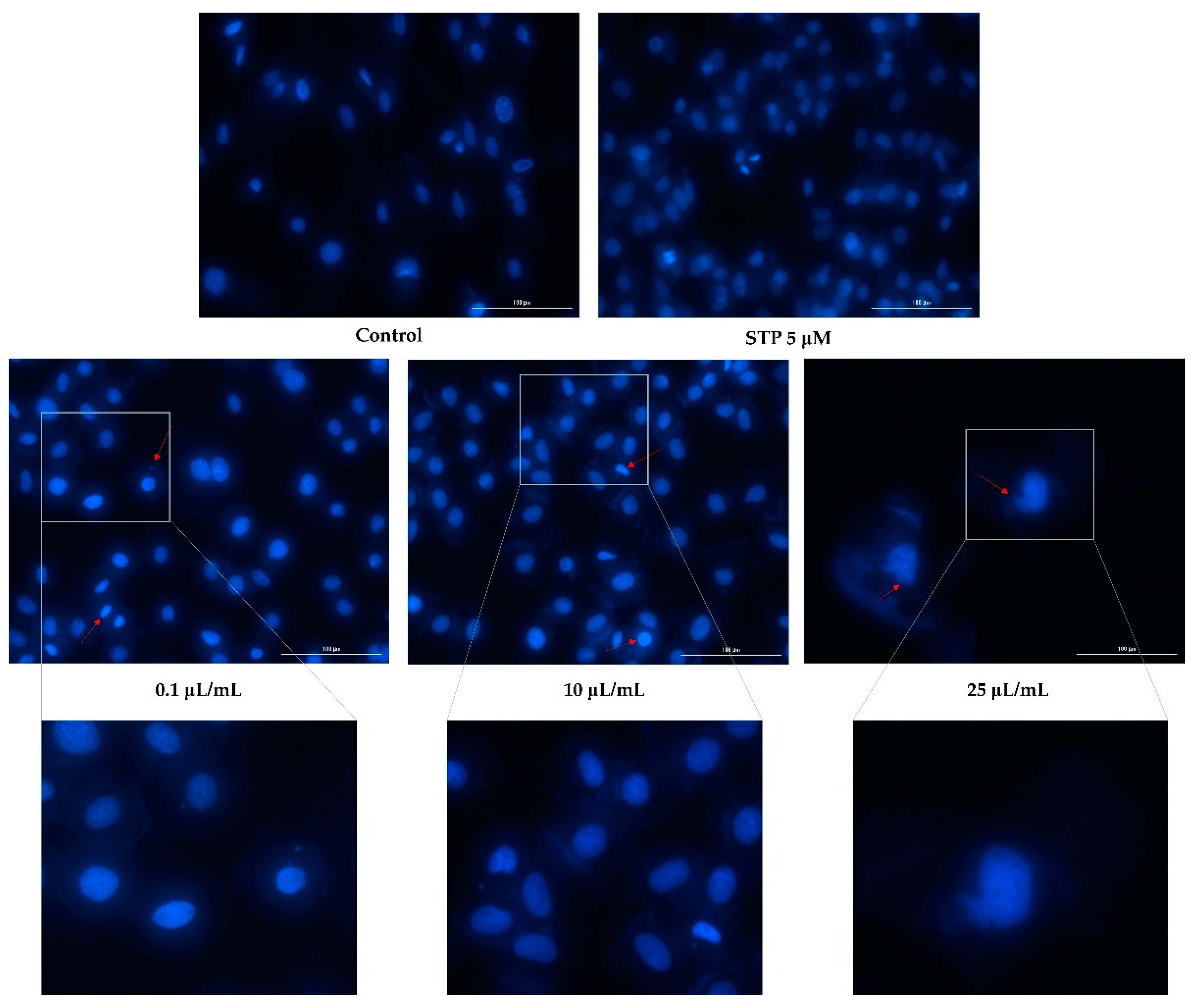 Ijerph 19 08881 g007