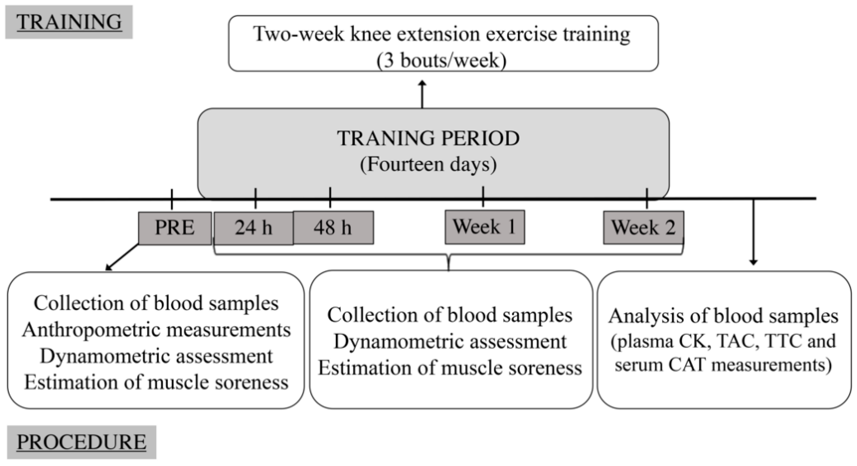 Ijerph 19 08889 g001