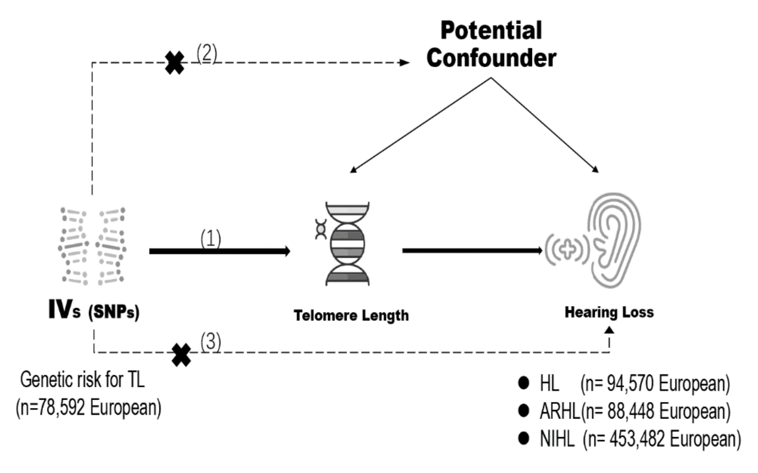 Ijerph 19 08937 g001 Ijerph 19 08937 g001