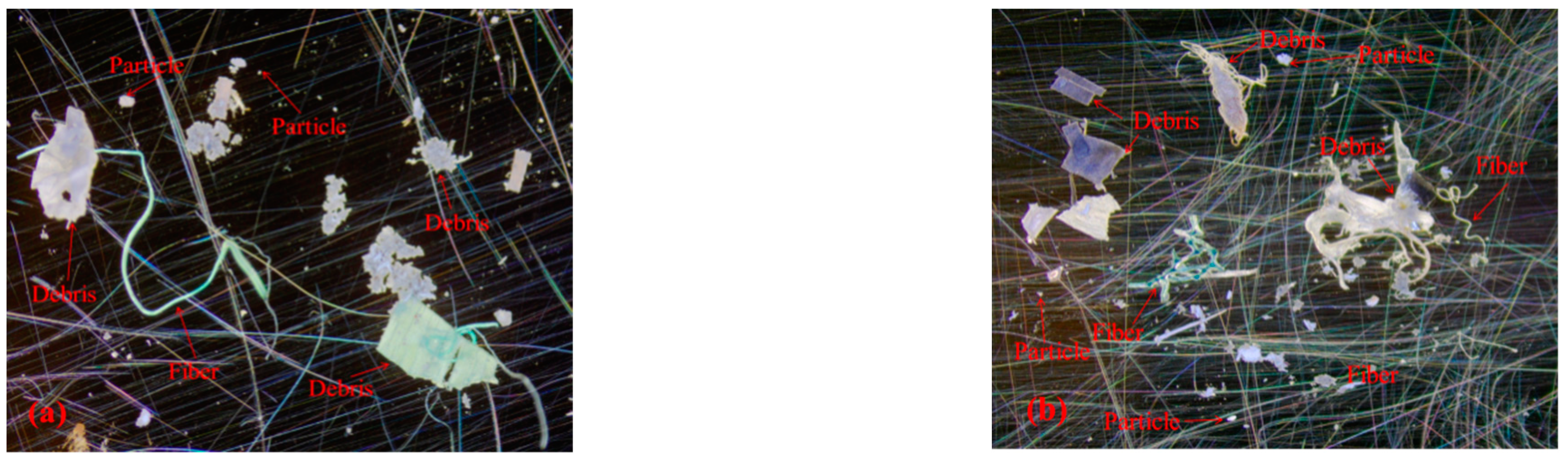 Ijerph 19 08972 g002 550