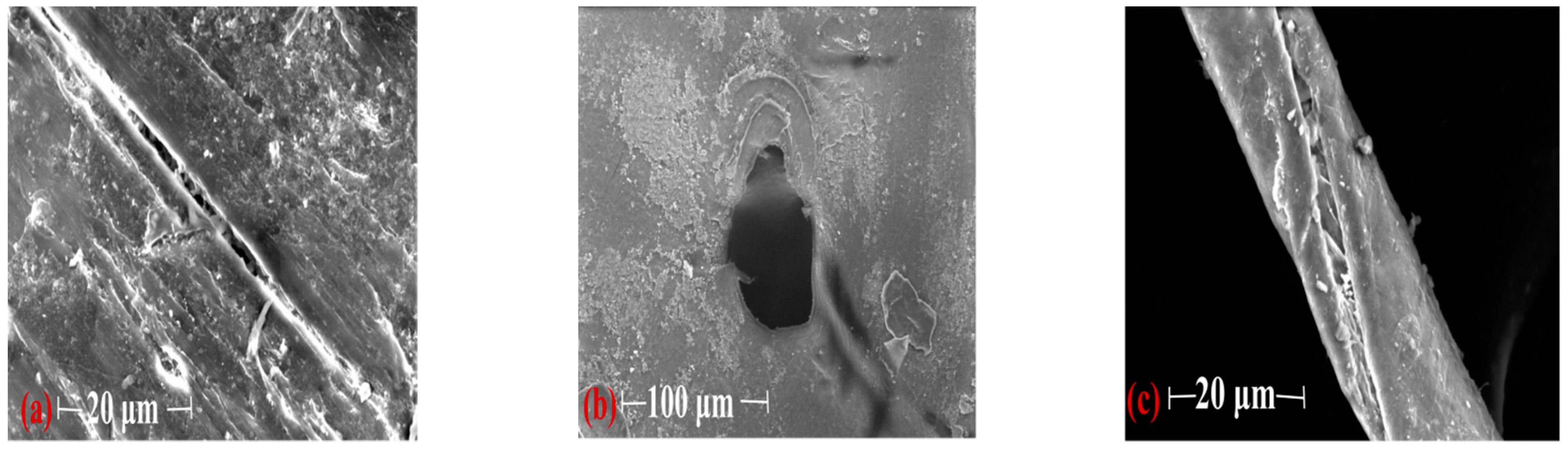 Ijerph 19 08972 g003 550