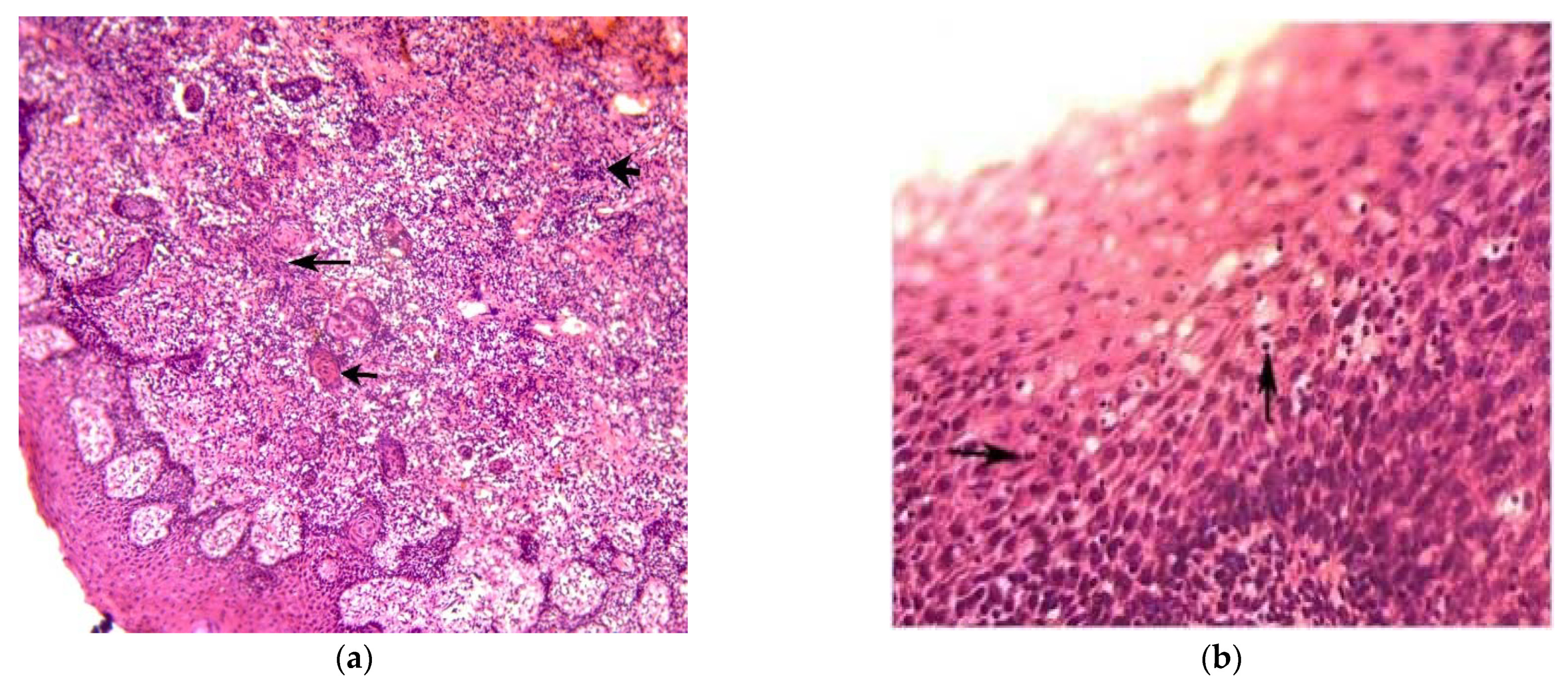 Ijerph 19 09003 g002a