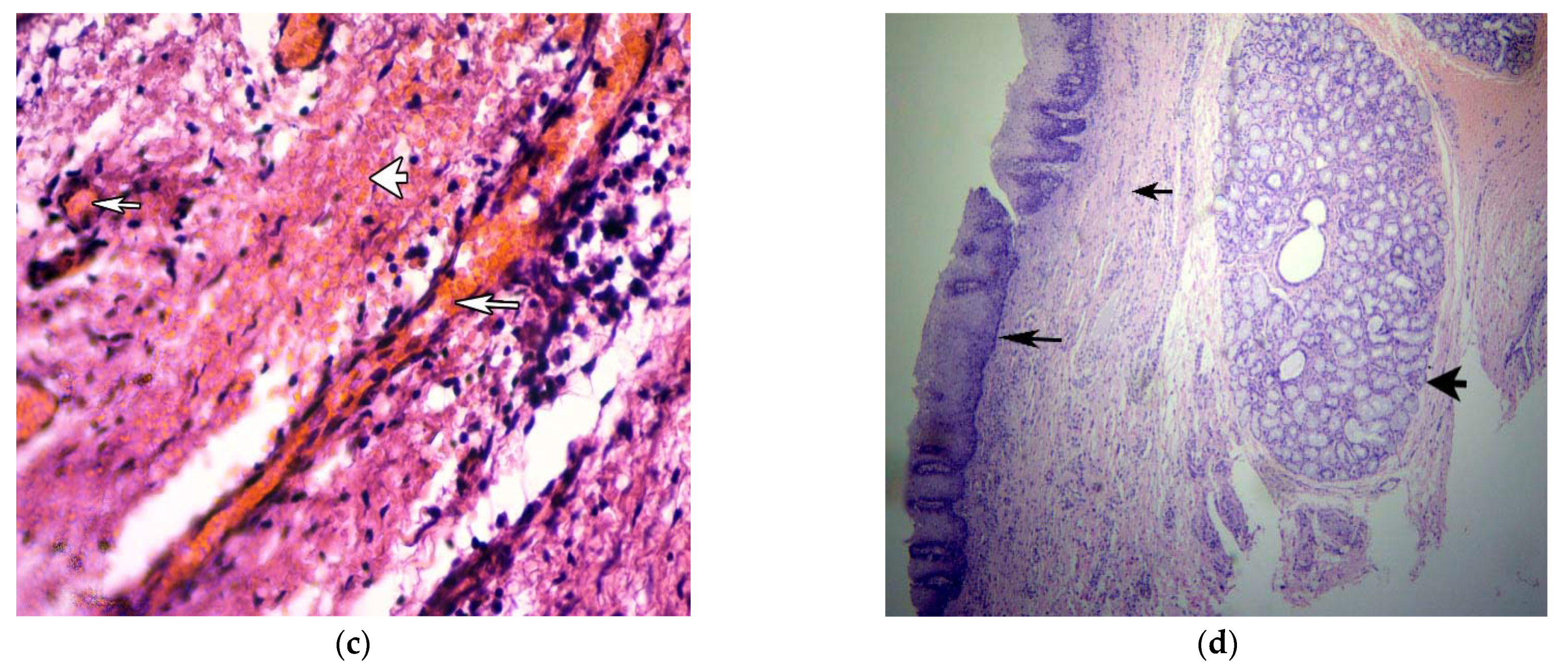 Ijerph 19 09003 g002b