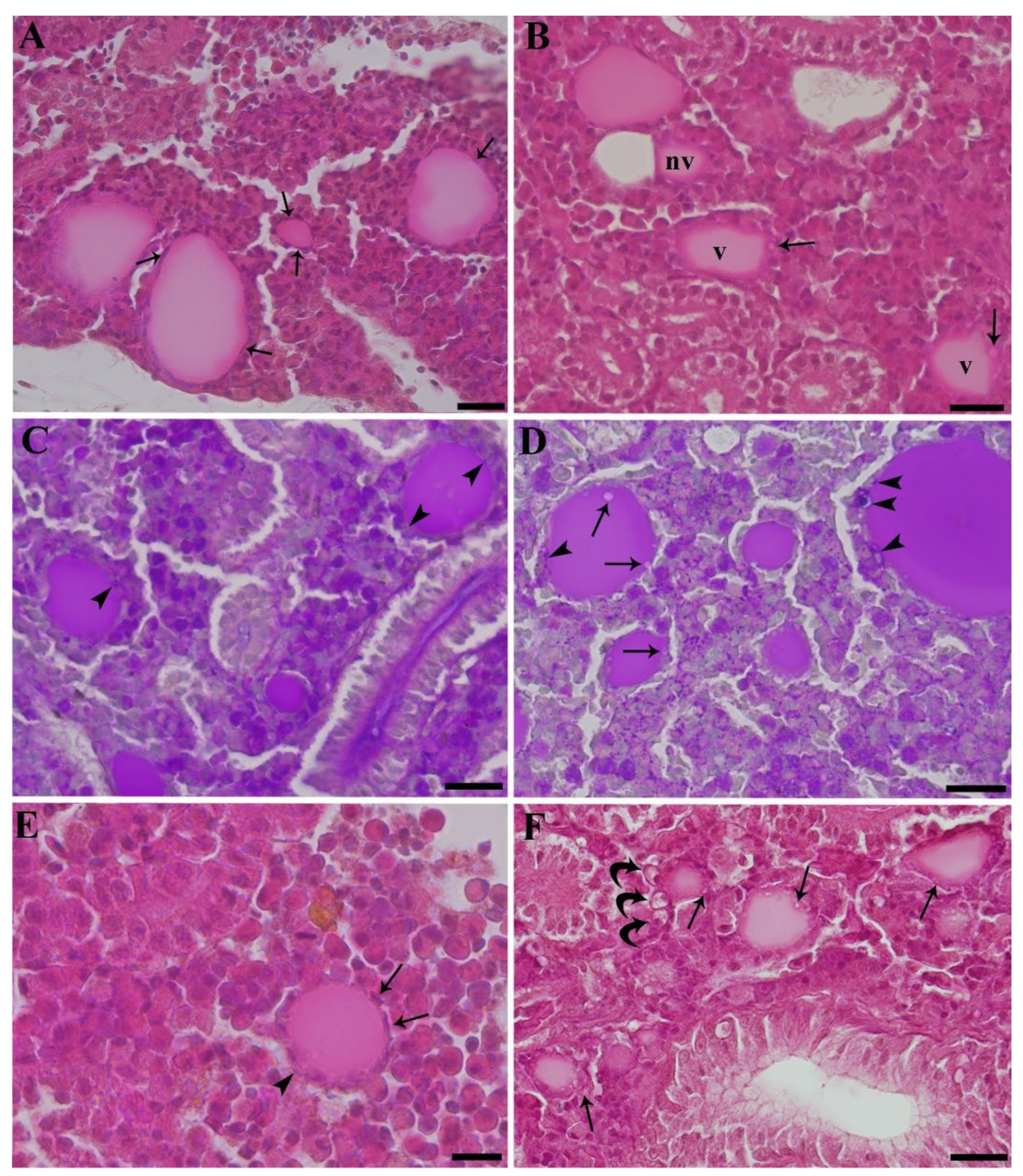 Ijerph 19 09049 g001 550