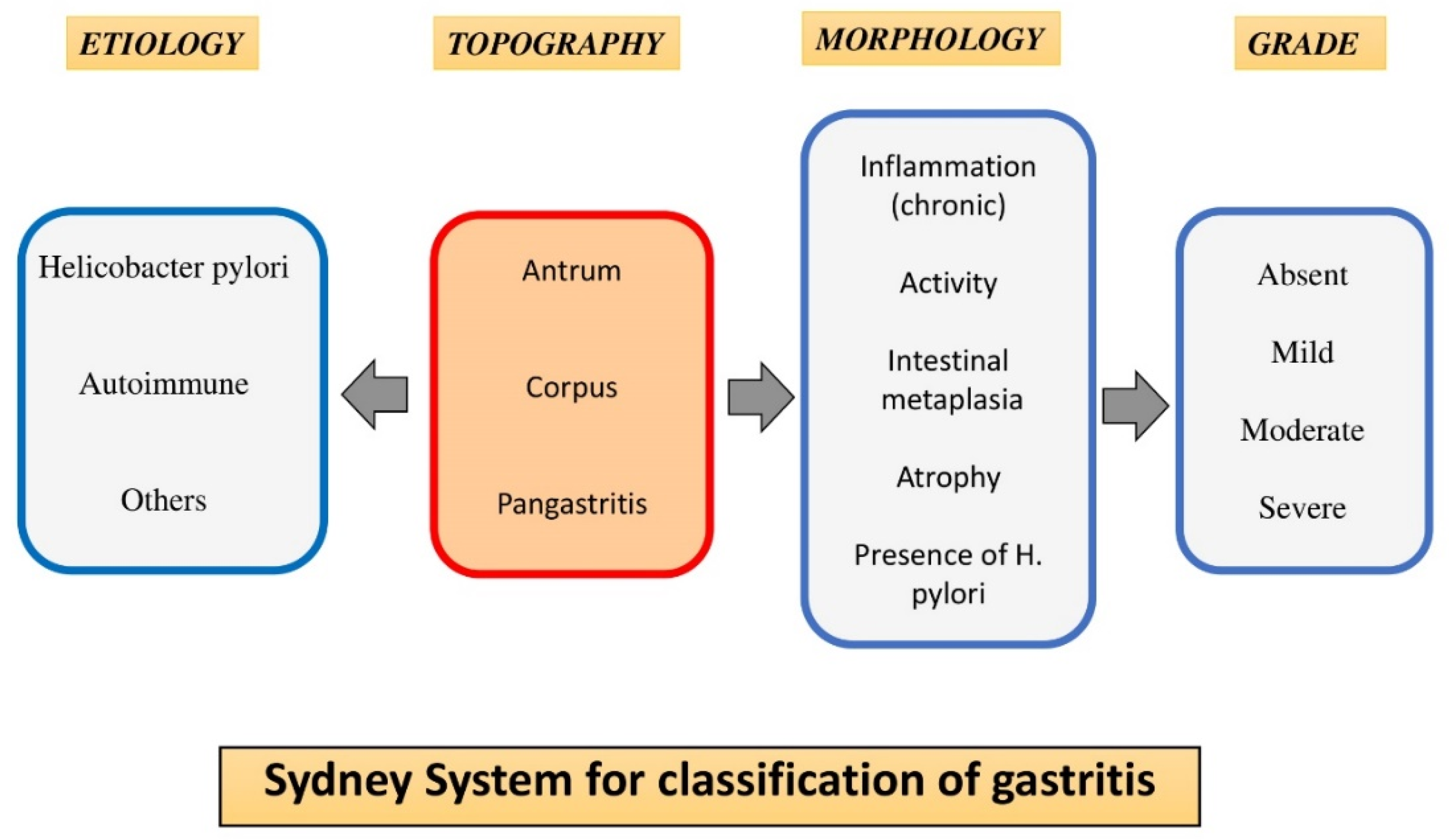 Ijerph 19 09088 g002 550