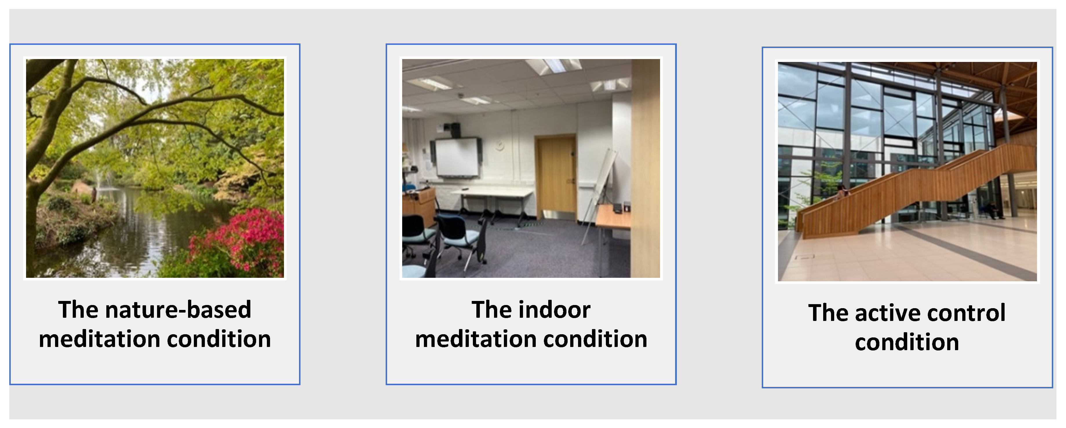 Ijerph 19 09118 g001