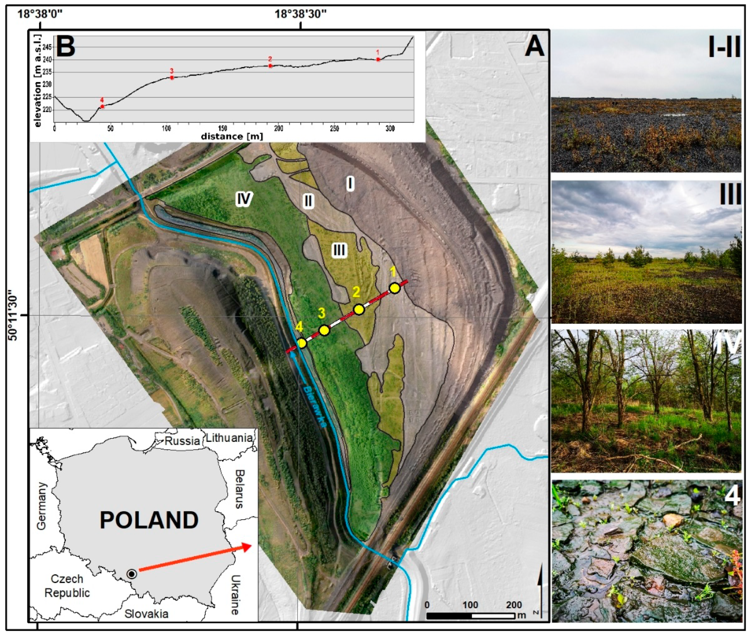 Ijerph 19 09167 g001