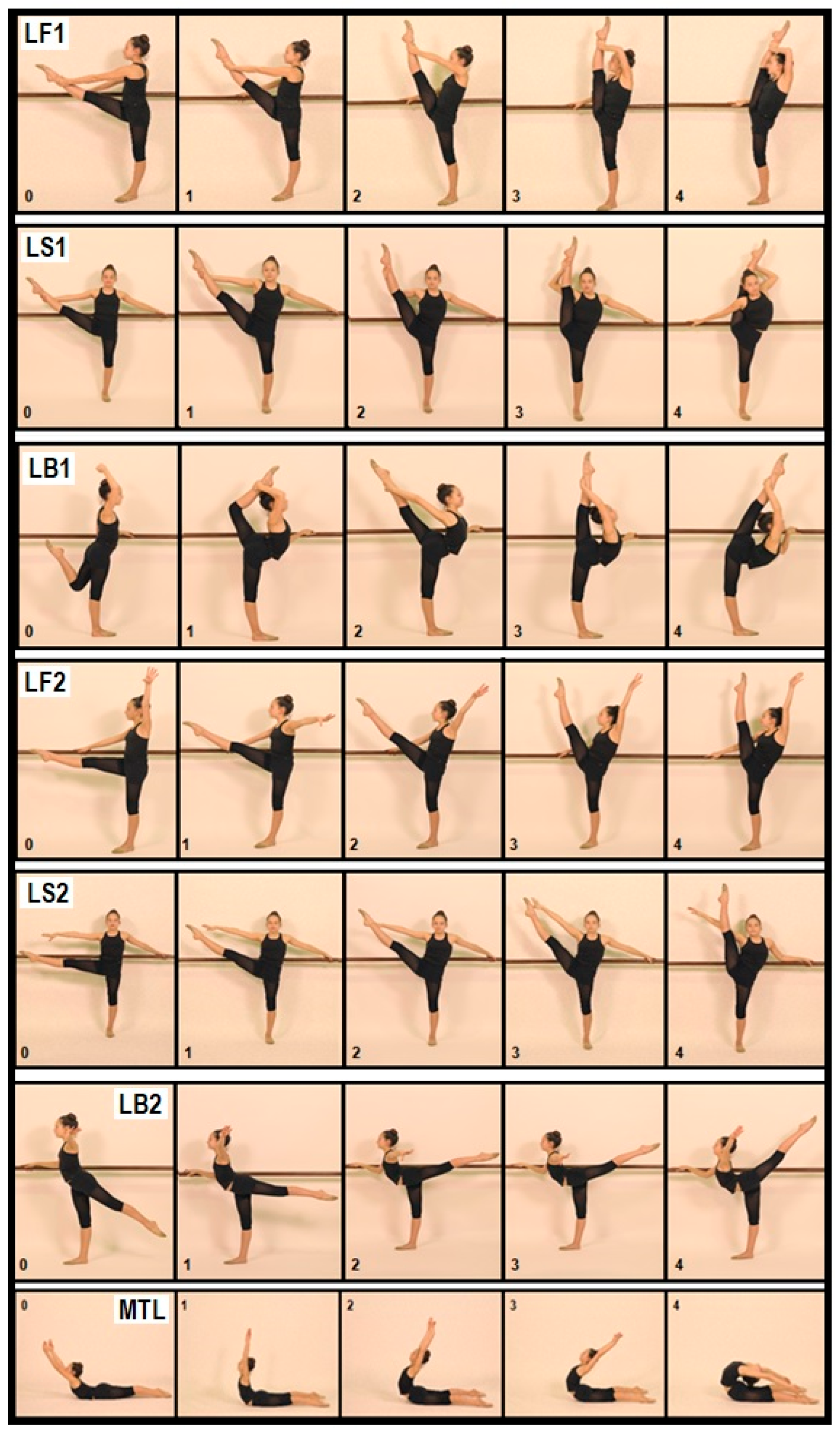 Yoga Anatomy : Essential Foundations and Techniques eBook : BAN